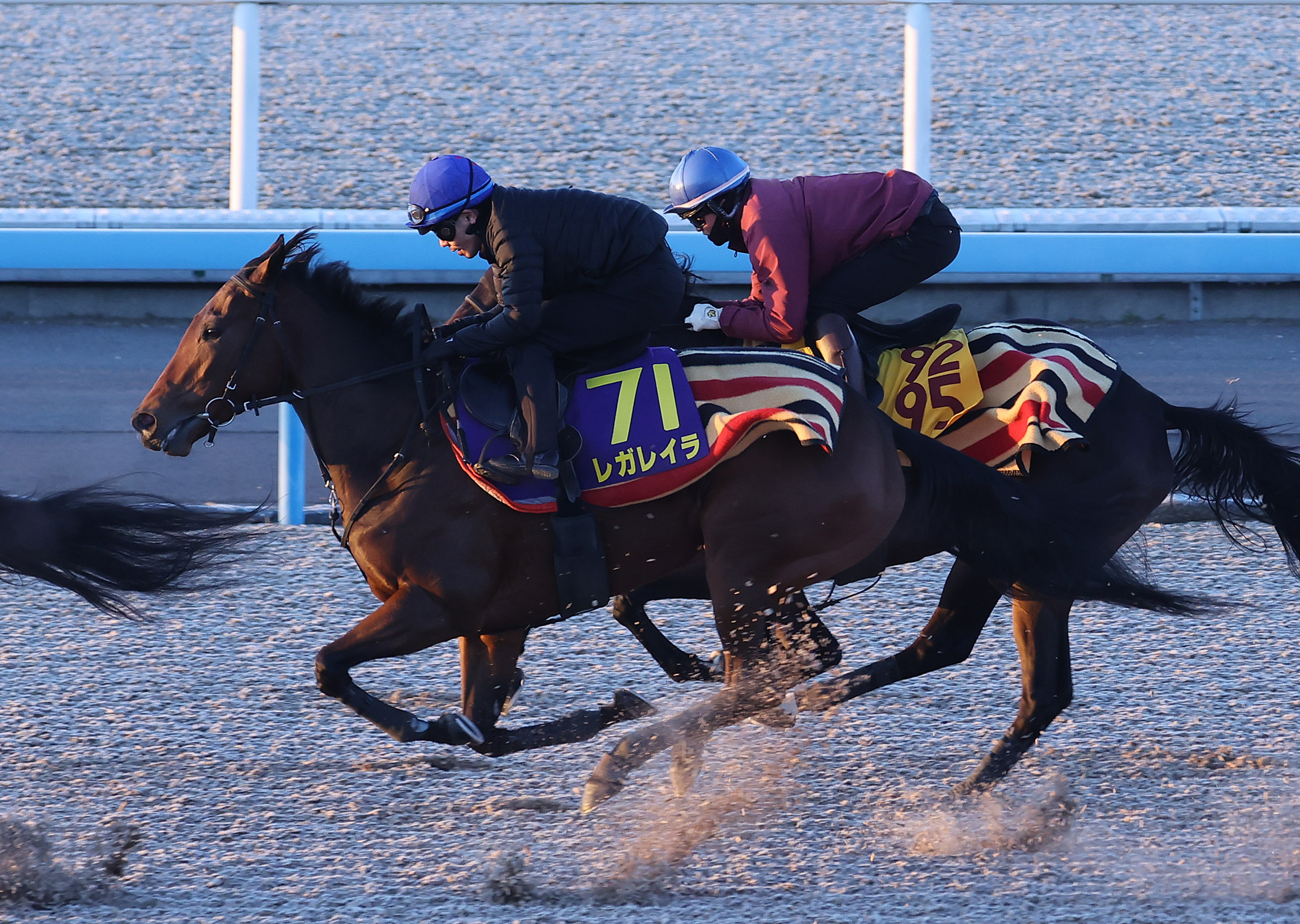 有馬記念 俺のチェックポイント】レガレイラ、前走不利の精神的