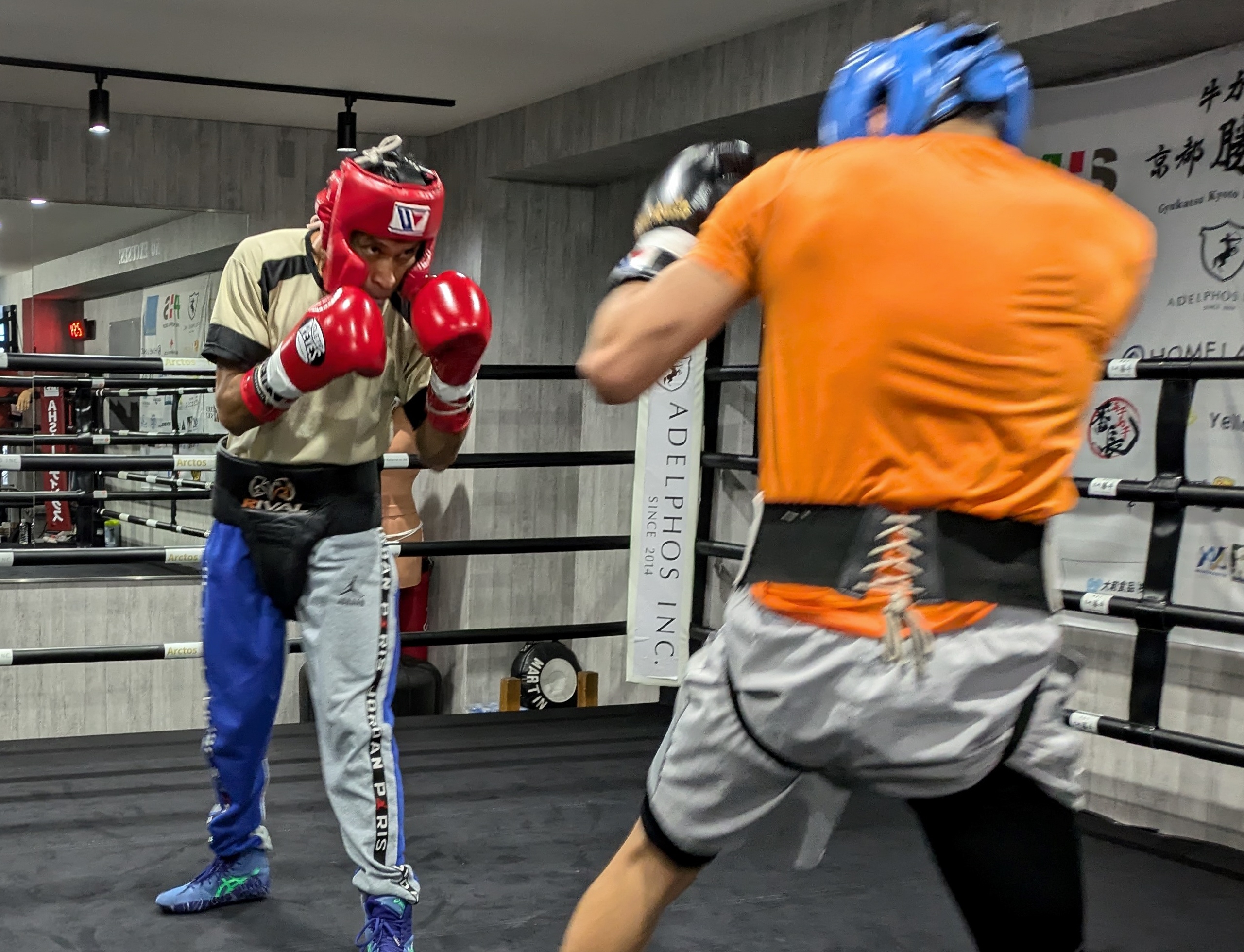 ボクシング】健文トーレス「泣いてしまって試合が…」21日8回戦で