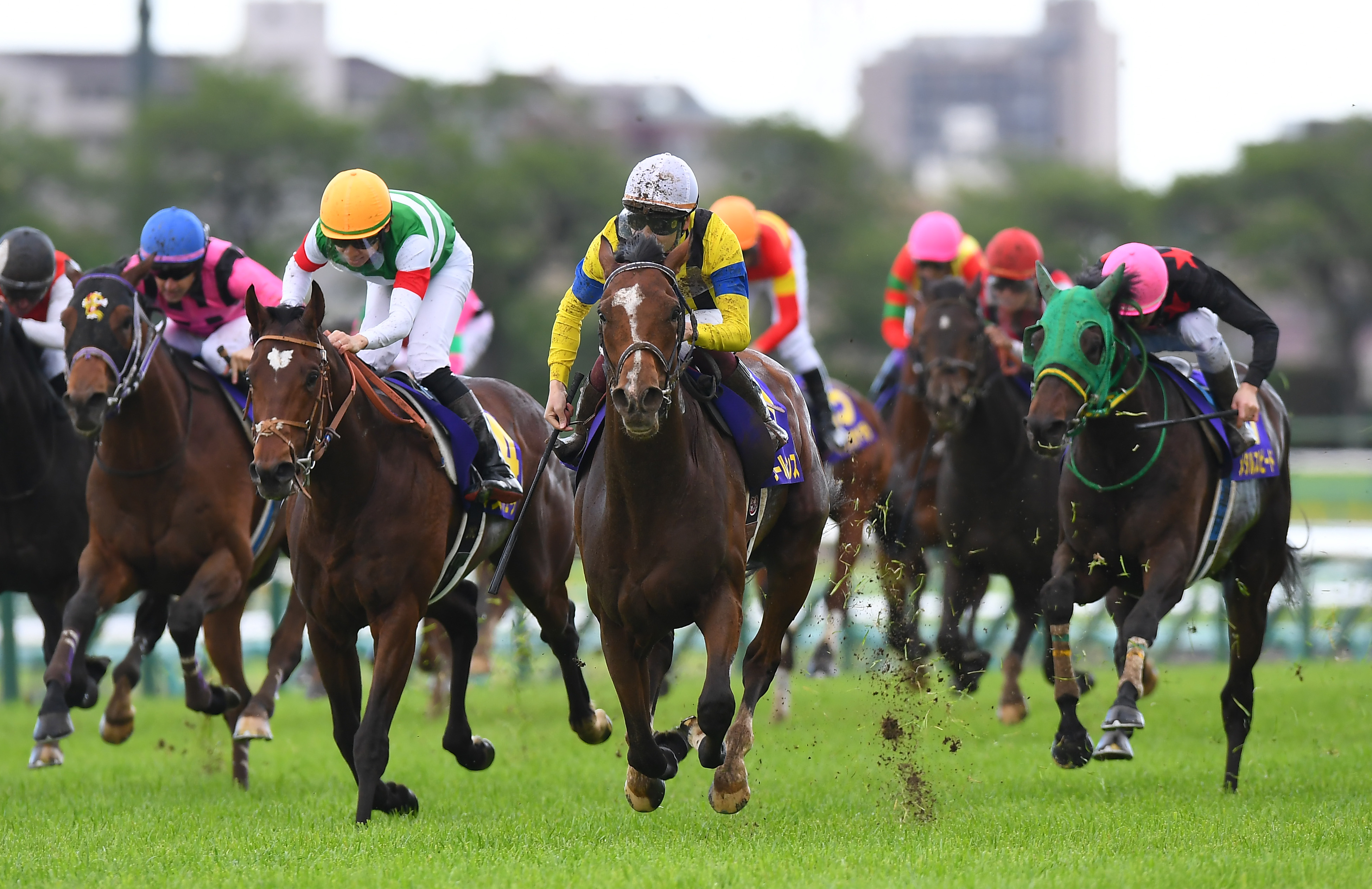 【皐月賞】ソールオリエンスが大外一気で戴冠 重馬場を切り裂く