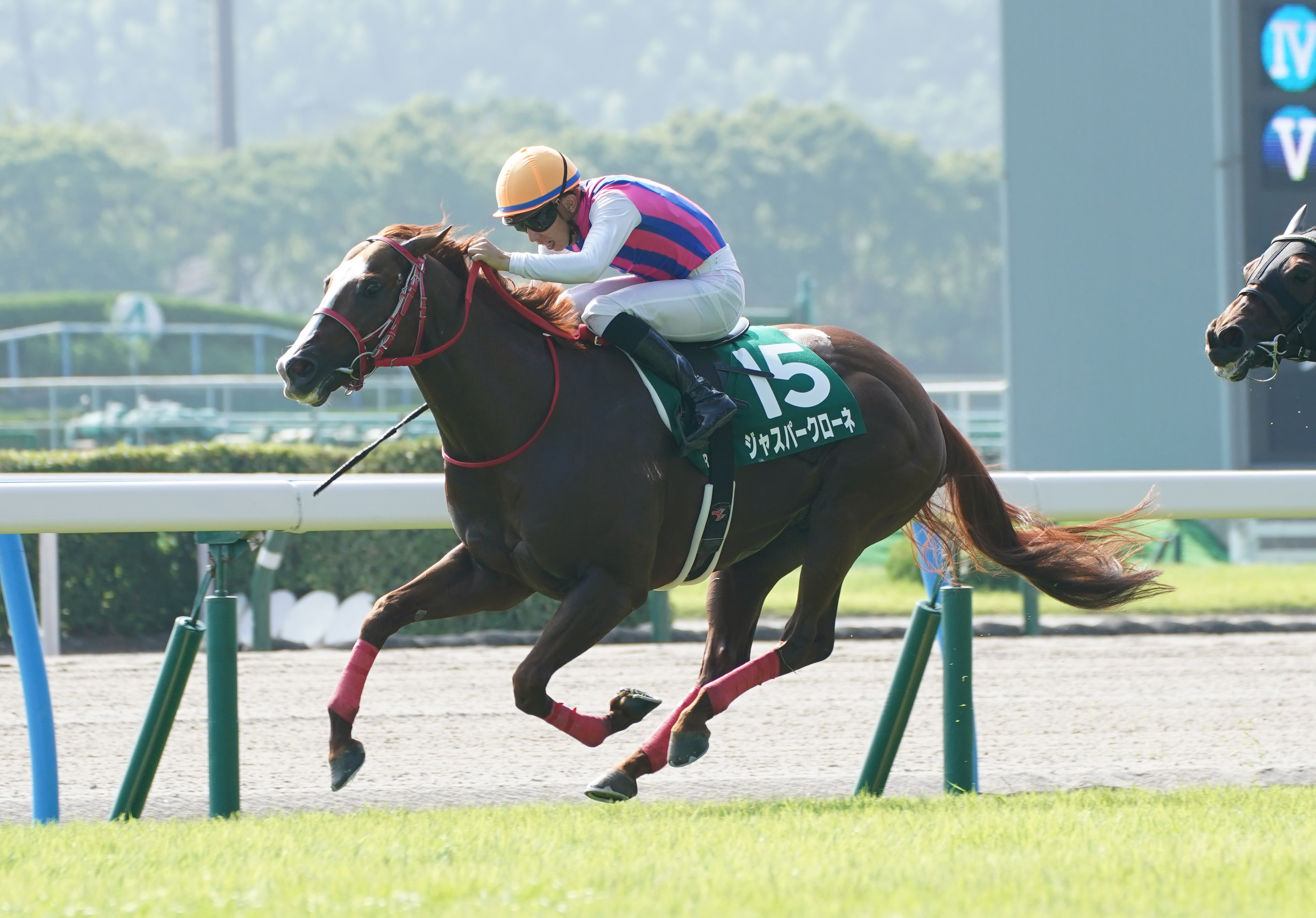 北九州記念】ジャスパークローネが逃げ切ってサマースプリント重賞連勝 - サンスポZBAT!