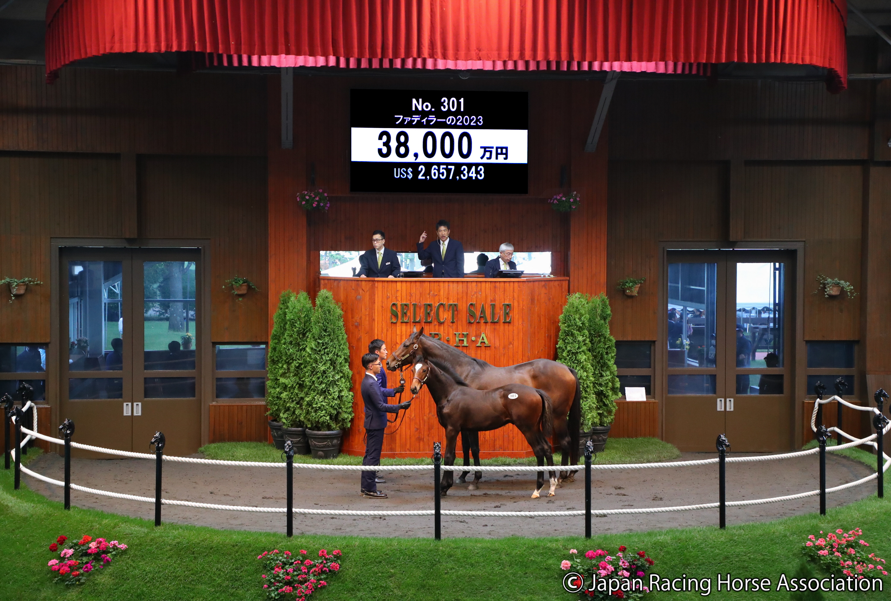 セレクトセール2023】キタサンブラック産駒大好評！ ファ