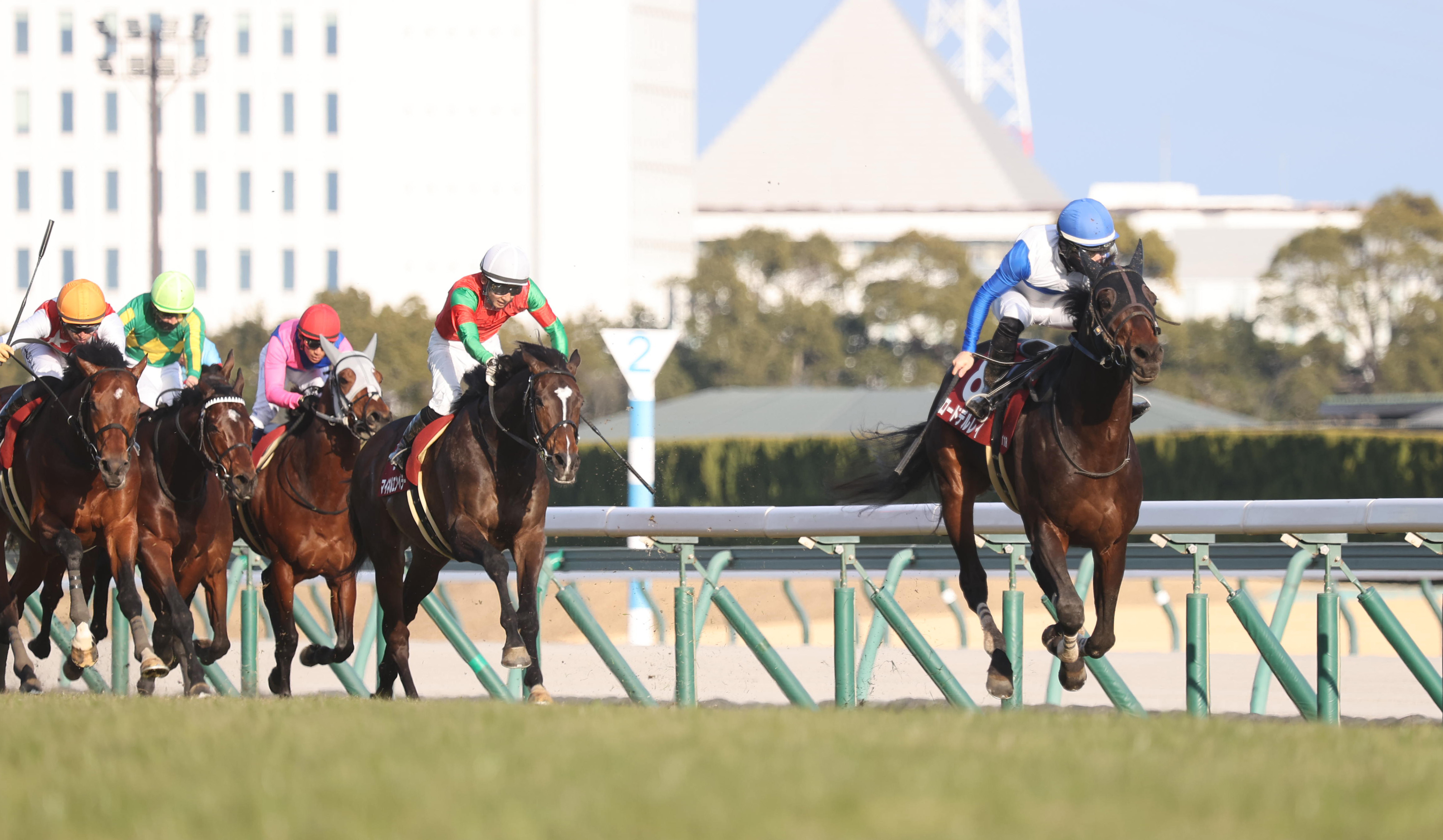 さるきち様 オーダー7枚 メイショウタバル追加 img_77472690d59440ee85a4c99826