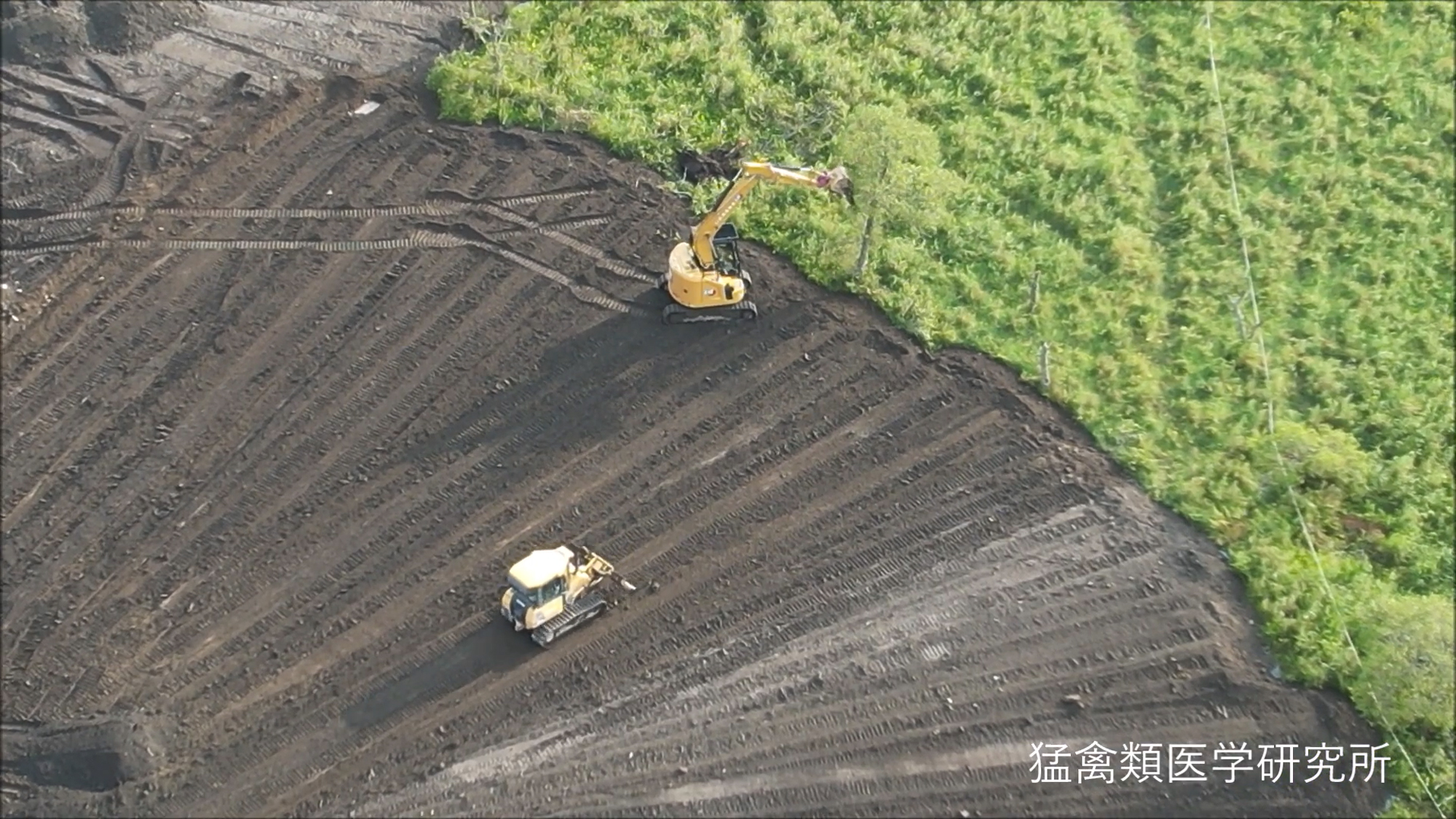 動画】釧路湿原周辺にメガソーラー 計画含め27件 タンチョウに悪影響
