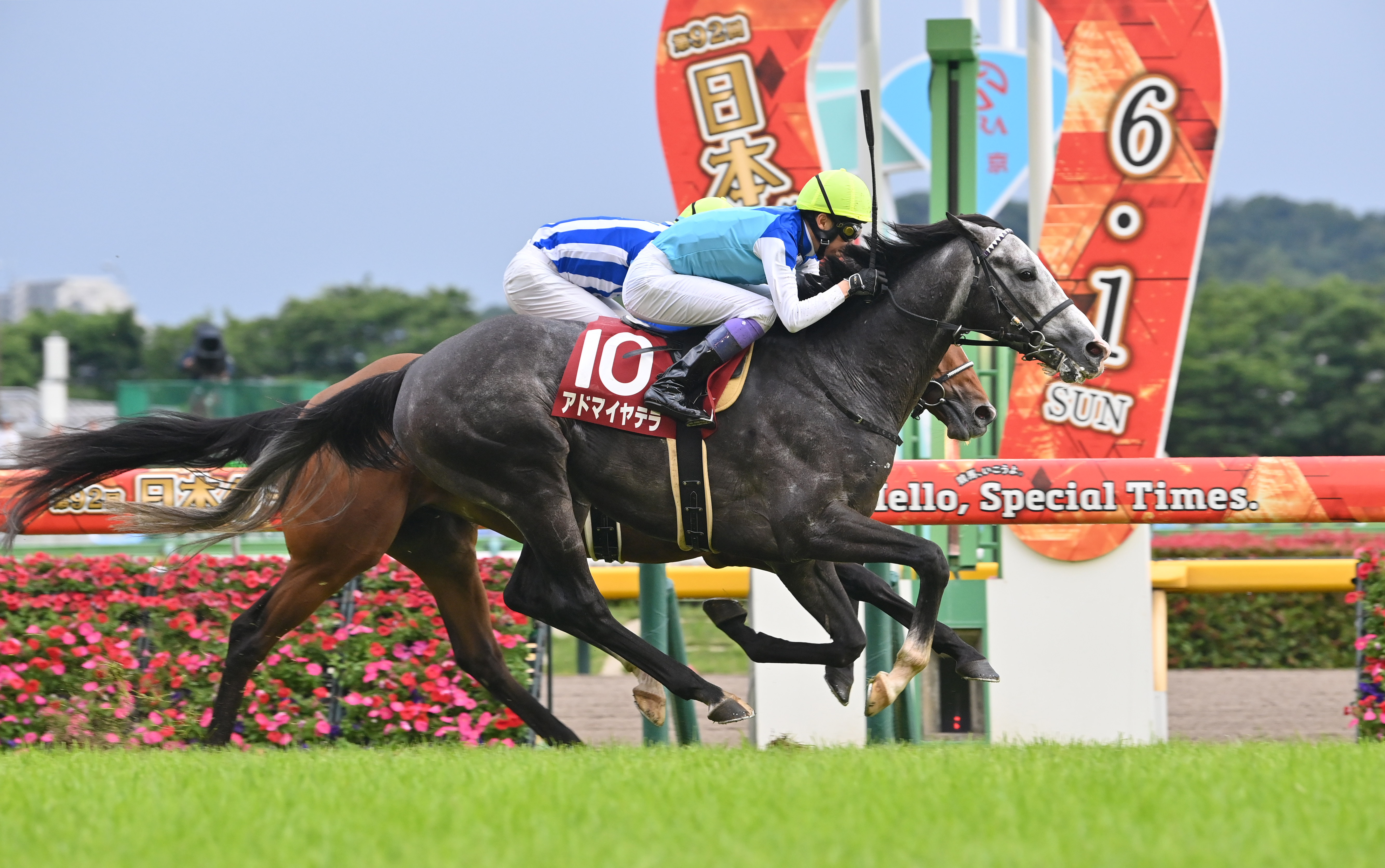 阪神競馬・阪神大賞典】武豊騎手がアドマイヤテラで40年連続重賞V狙う 阪神競馬・阪神大賞典】武豊騎手がアドマイヤテラで40年連続重賞V狙う