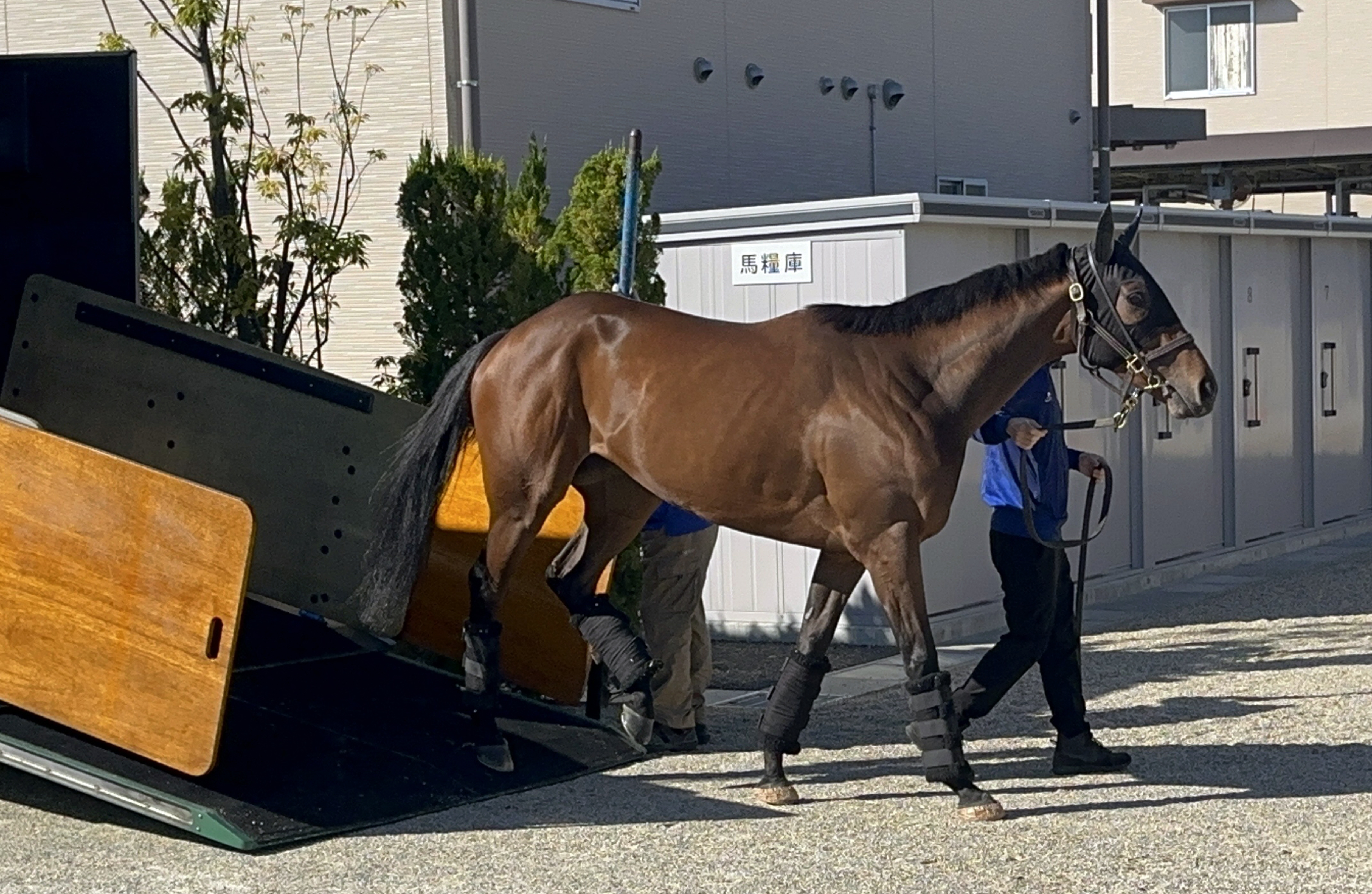 レガレイラ2・2倍で1番人気 リンクスティップ6・6倍で続く 競馬エ女王