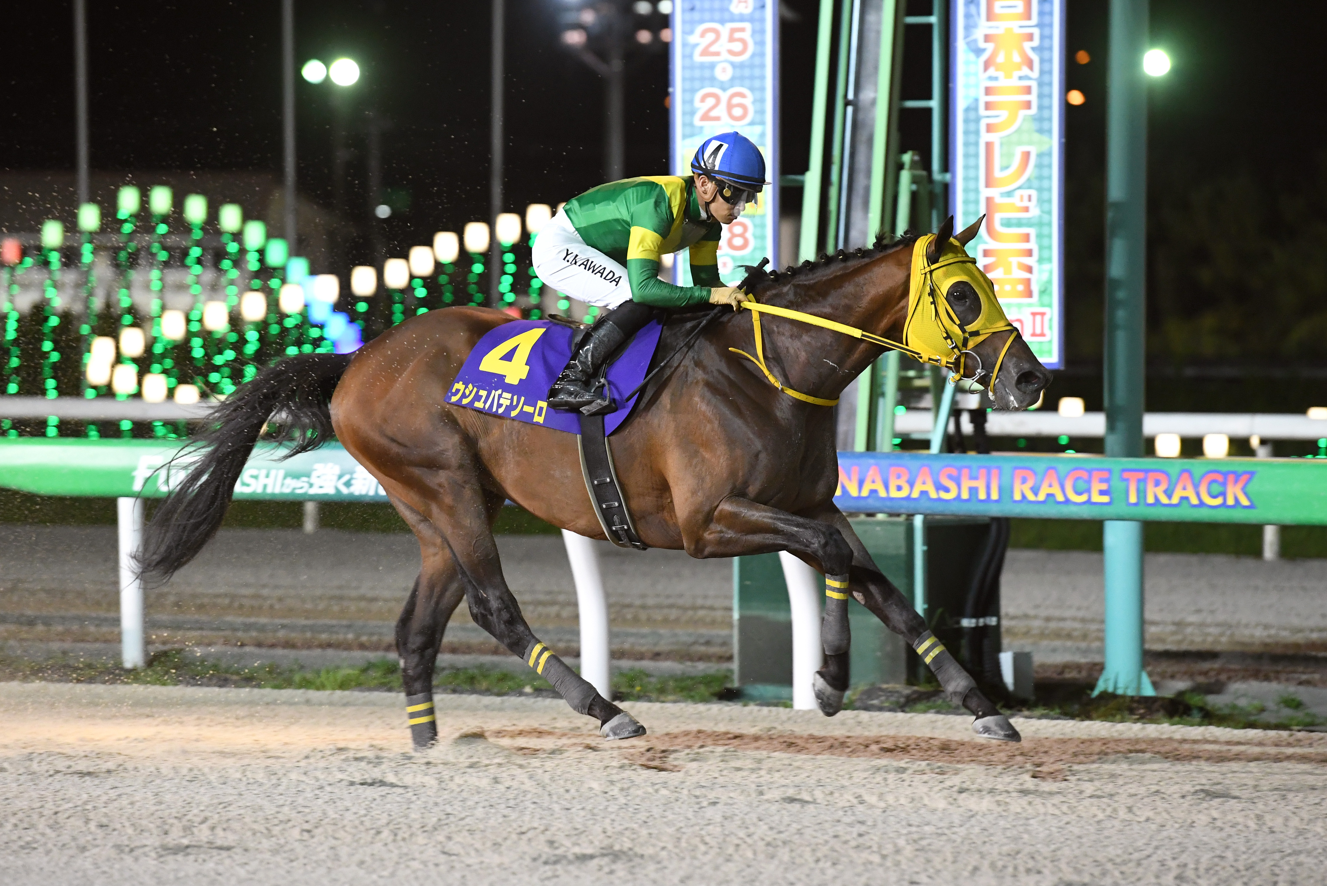 ウシュバテソーロ 日本テレビ盃 船橋競馬場キャッシュレス 記念馬券 コレクション用】日本テレビ盃 ウシュバテソーロ 船橋オリジナル