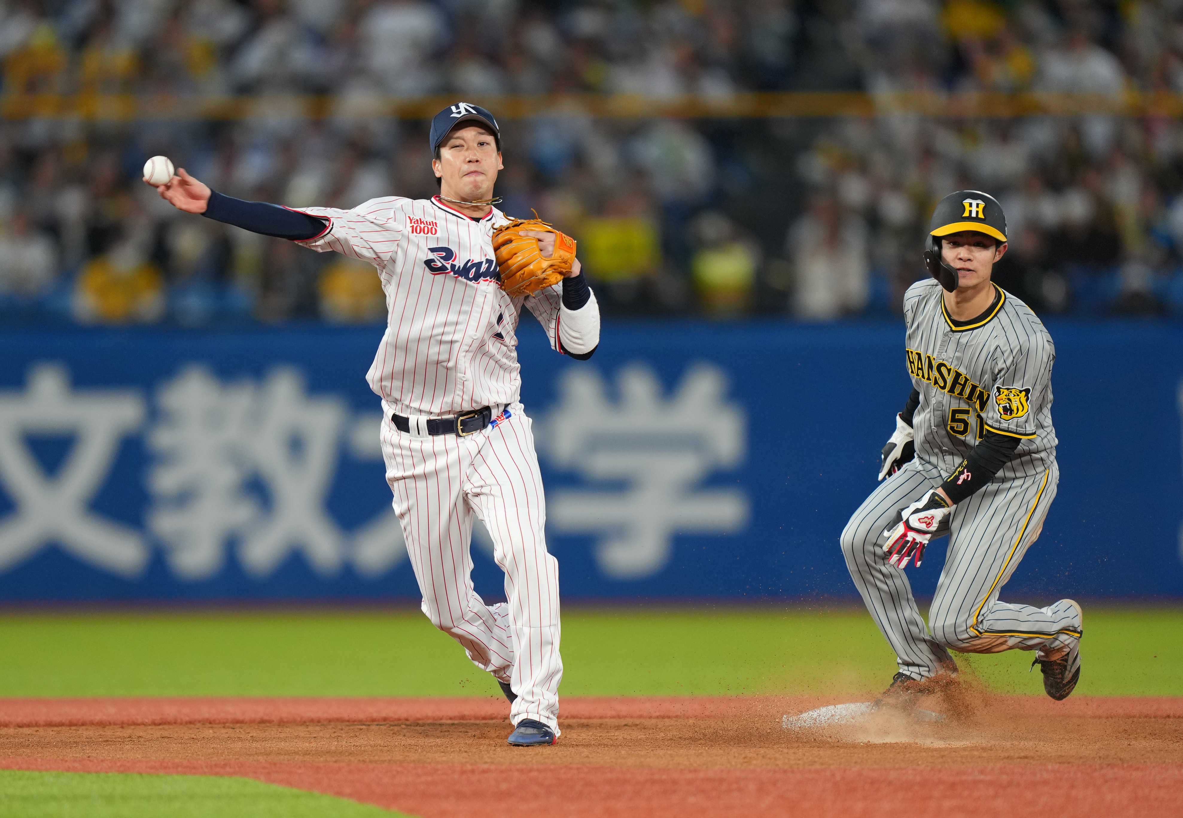 Amazon.co.jp: /サイズ:L東京ヤクルトスワローズ 山田哲人