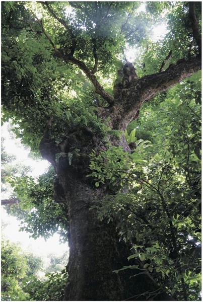 美の扉】編者と読む東松照明写真集「新編 太陽の鉛筆」（4/4ページ