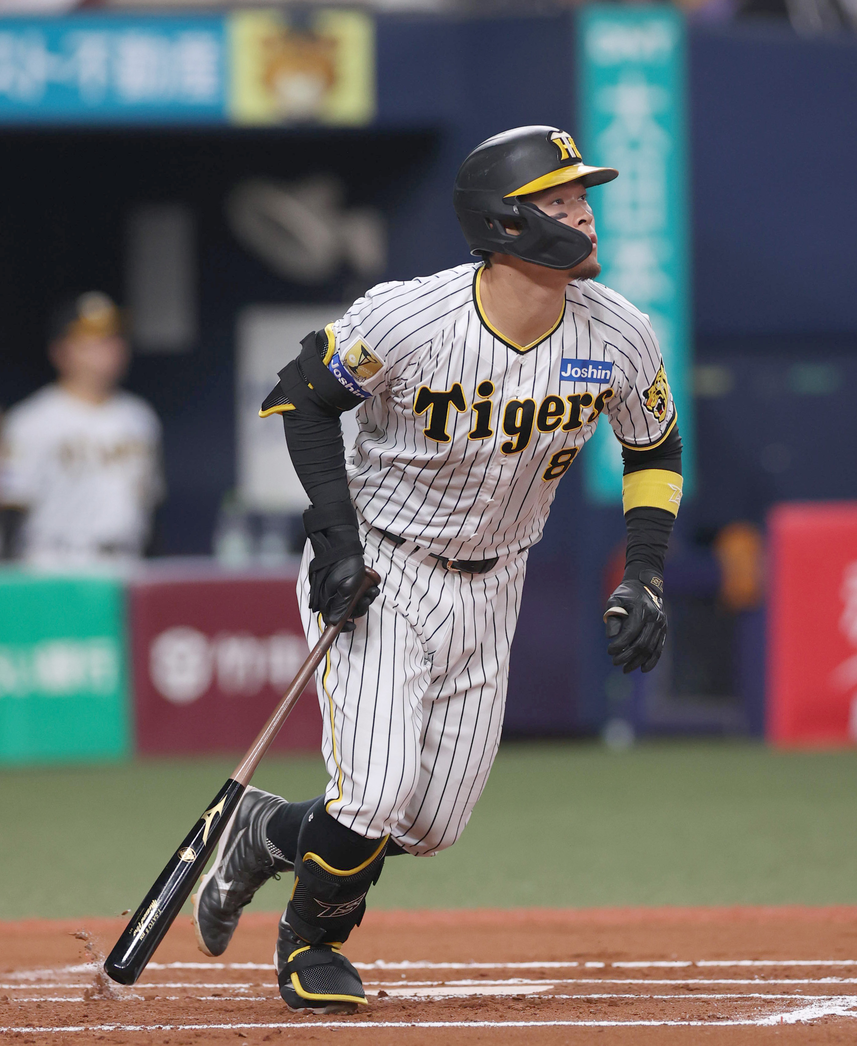 豪快4番弾！ 阪神・佐藤輝明が弾丸ライナーでの3号ソロに「緩い球を