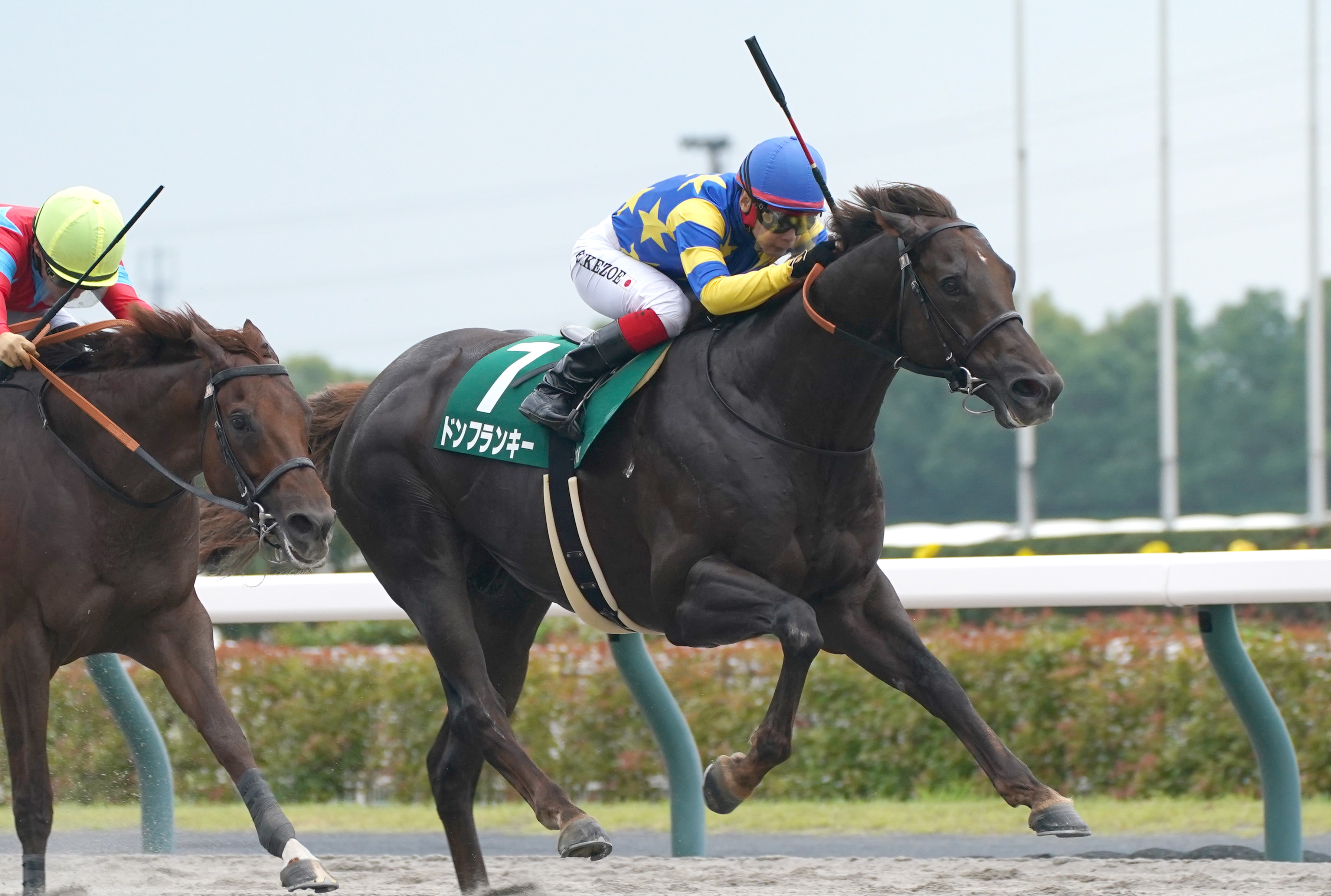 競馬ファンの方、海外レース、優勝馬 クラスターC】レース予想 - サンスポZBAT!