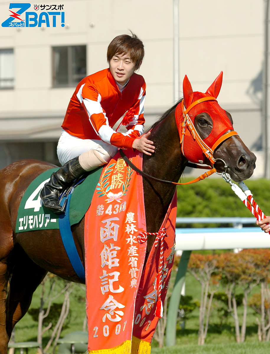 競馬ポスターB1：エリモハリアー 「2014年 第50回 函館記念」 競馬ポスターB1：エリモハリアー 「2014年 第50回 函館記念」