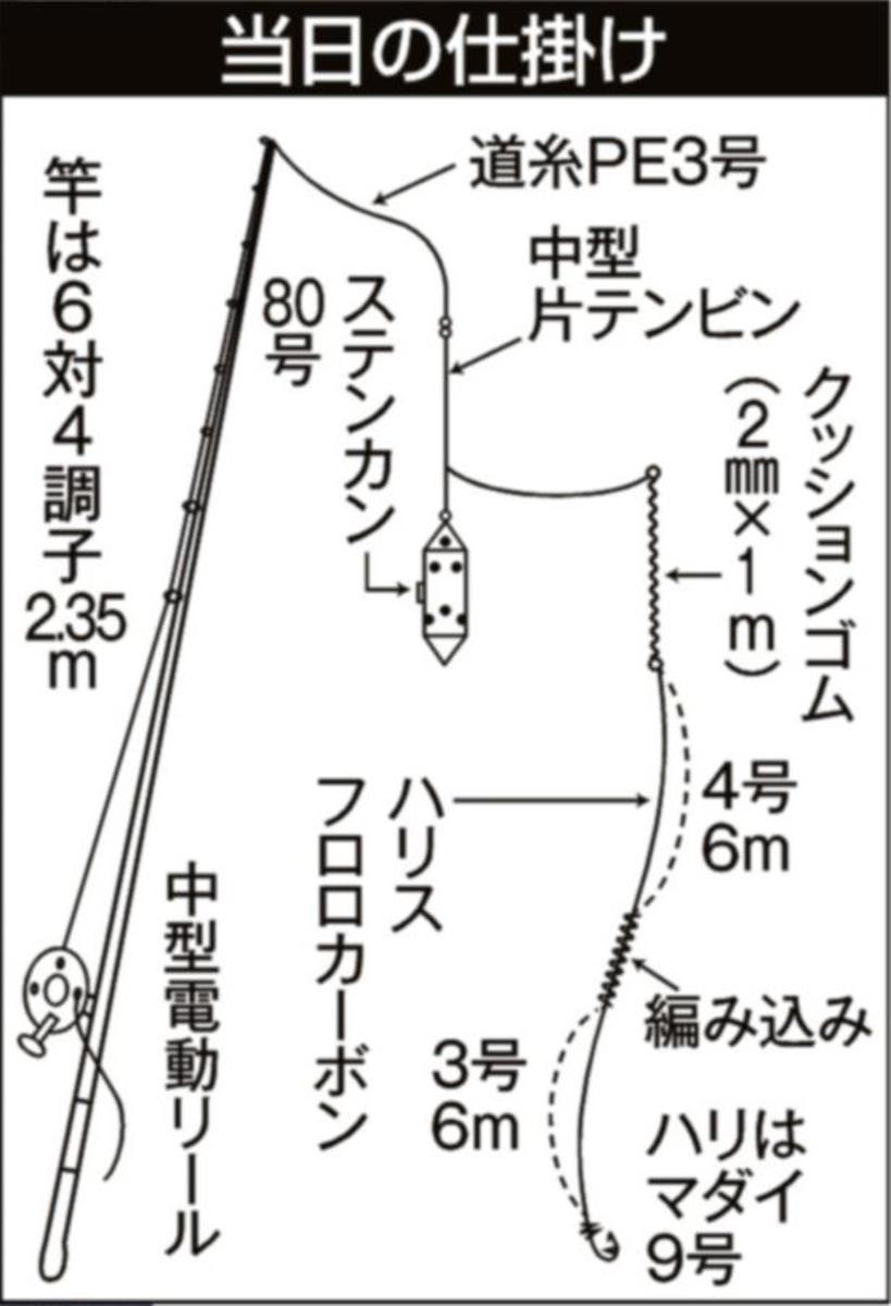 乗っ込みマダイ本格化 ２桁 ５キロ超えも狙える 東京湾 剣崎沖 1 2ページ サンスポ