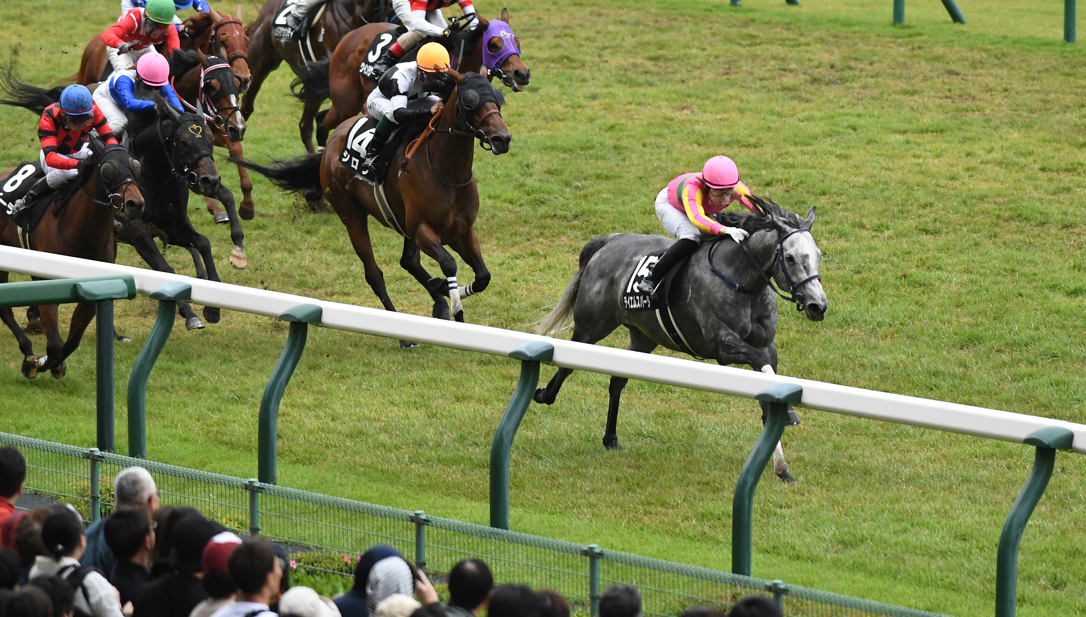 韋駄天S】テイエムスパーダが2度目の千直で復活の6勝目 - サンスポZBAT!