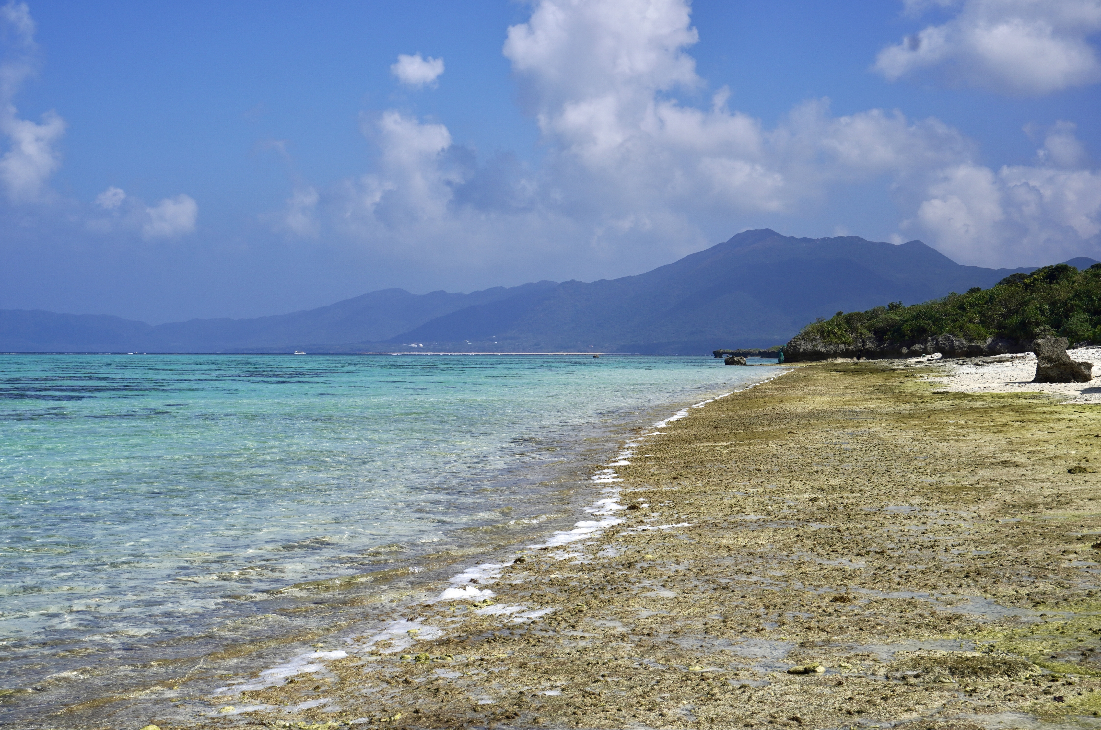 島を歩く 日本を見る】八重山上布に、４００年の歴史を思う 石垣島（沖縄県石垣市） - 産経ニュース