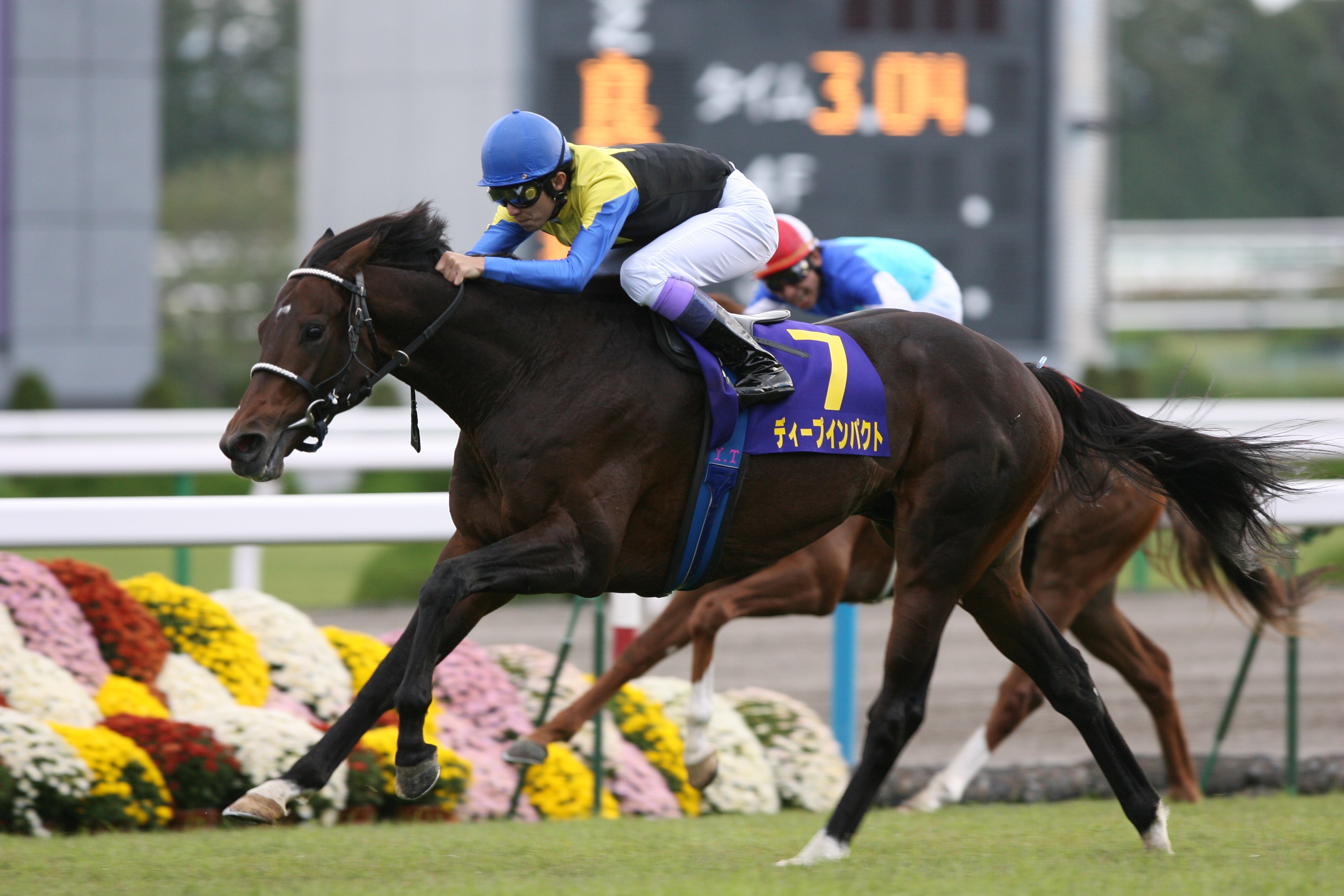 安田記念特集】ハイセイコー、オグリ、ディープ…輝く名馬１００年の 