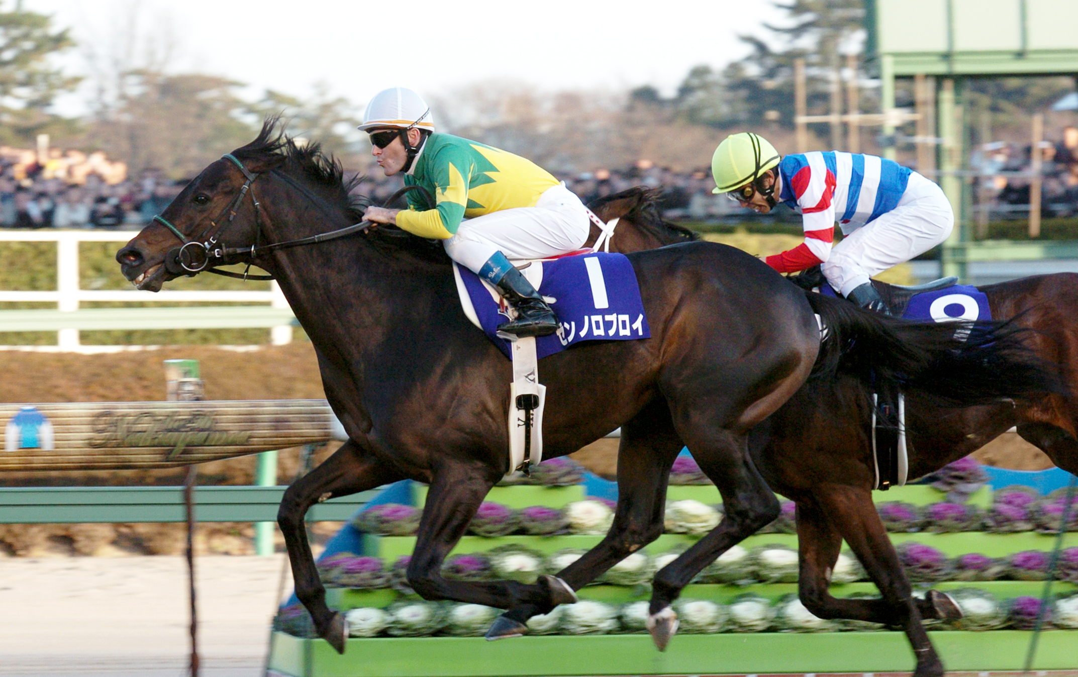GⅠ3勝ゼンノロブロイ死す 22歳、2004年に秋の古馬3冠を達成
