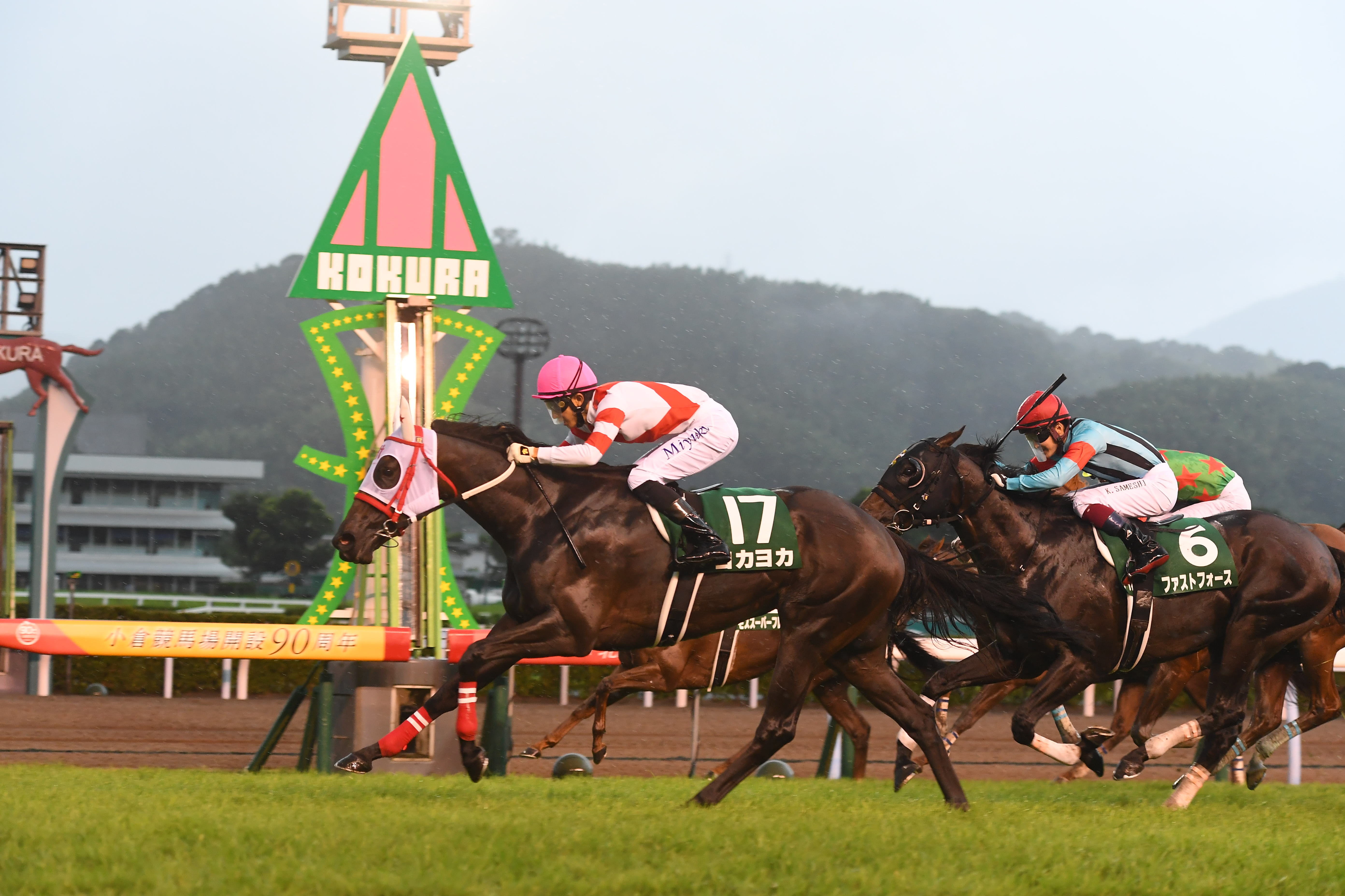 熊本産馬ヨカヨカの今を訪ねて 新ひだか町サンデーヒルズで 熊本産馬ヨカヨカの今を訪ねて 新ひだか町サンデーヒルズで
