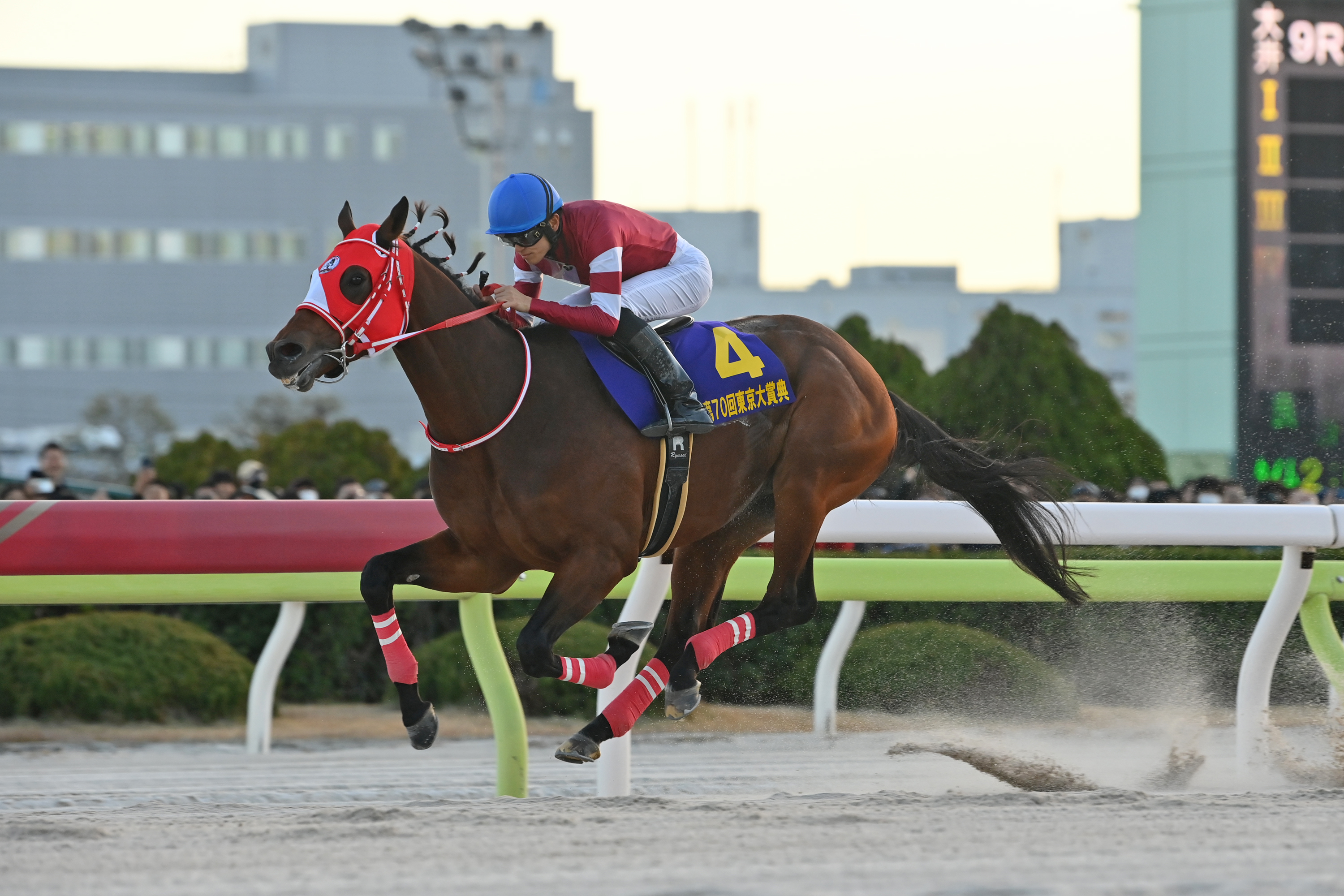 甘口辛口】米年度代表馬に凱旋門賞…フォーエバーヤングに託してみたい2