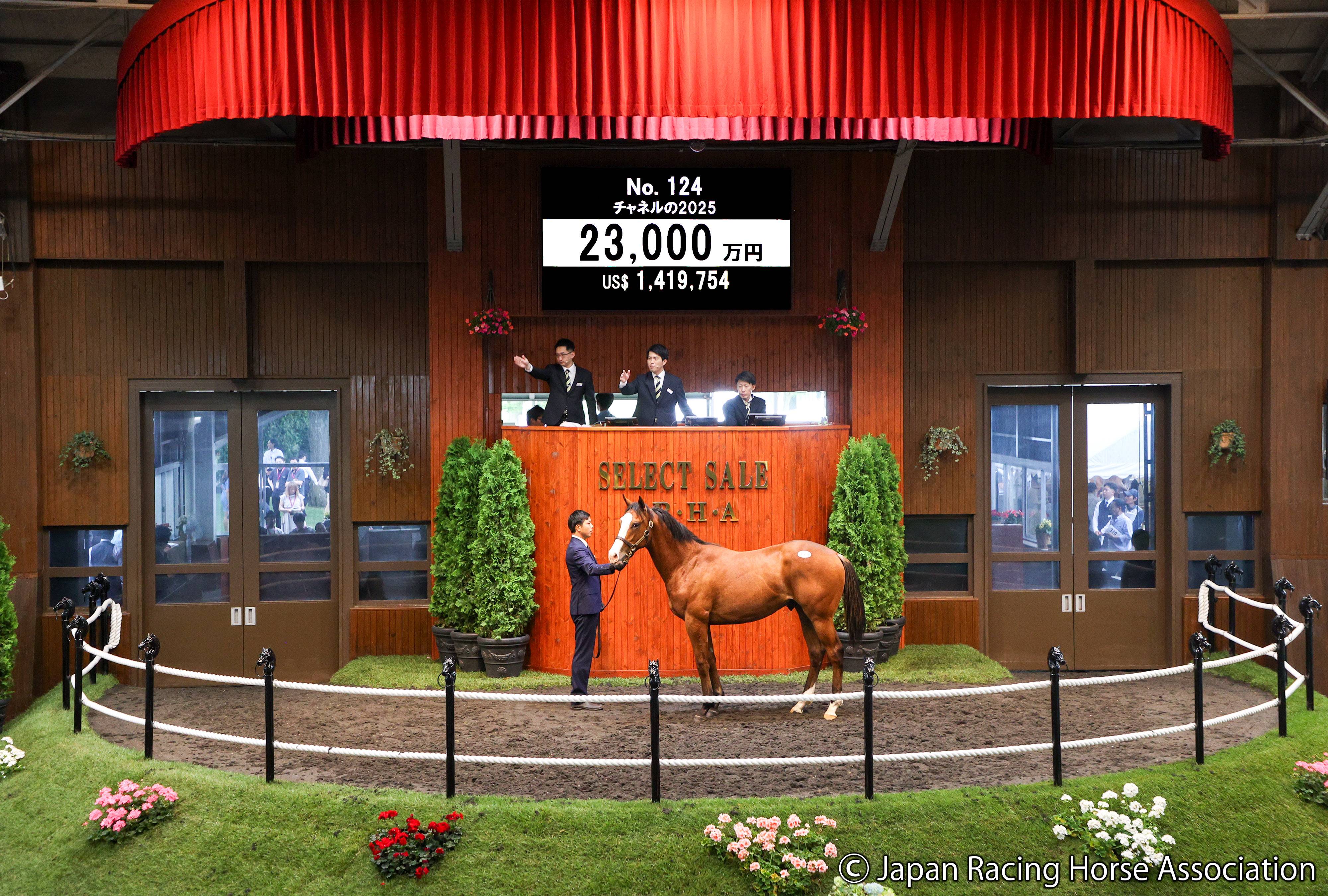 セレクトセール2026・初日】母に仏オークス馬のキタサンブラック産駒が