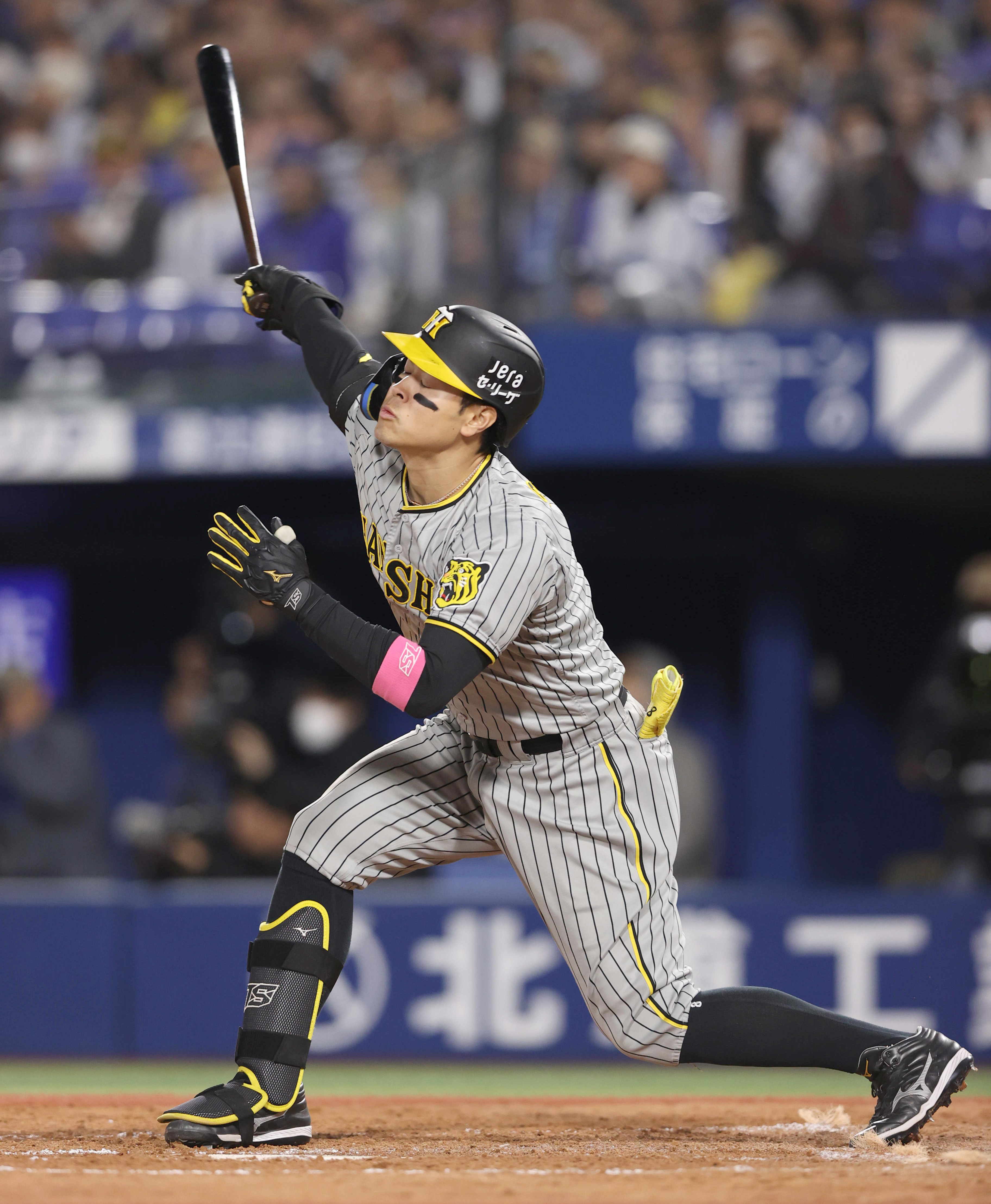 第105回全国高校野球選手権大会 日程・結果 - サンスポ