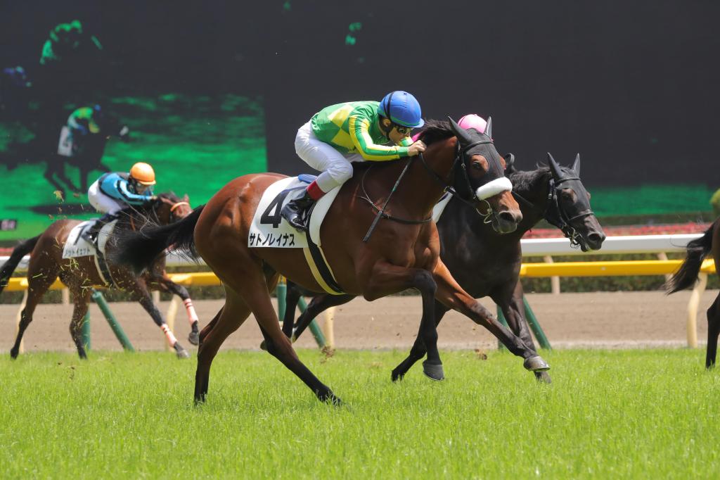 桜花賞２着馬サトノレイナスが引退、繁殖入りへ - サンスポZBAT!