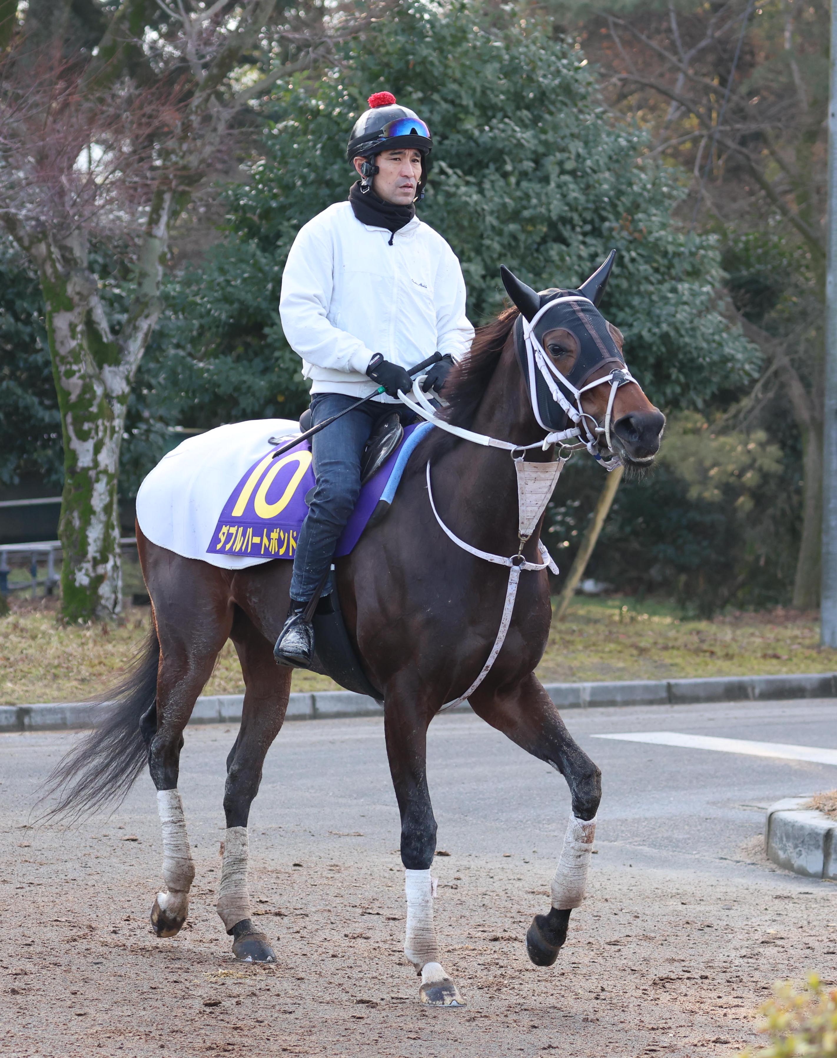 フェブラリーS 白井寿昭のGⅠ見どころ解説】直線が長く能力通りに