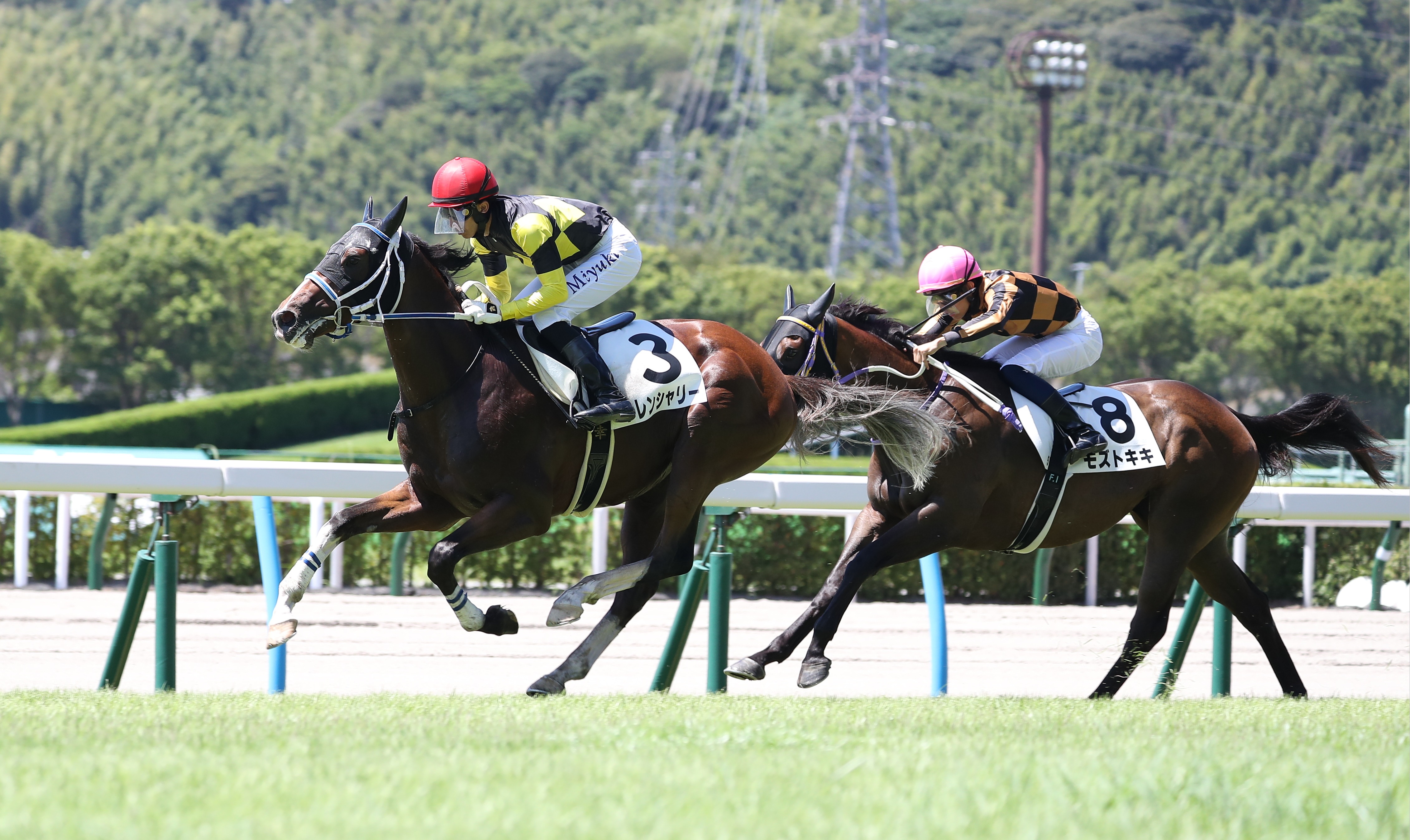 【２歳新馬・小倉５Ｒ】トレンシャリーが味のある差し切りで初陣 ...