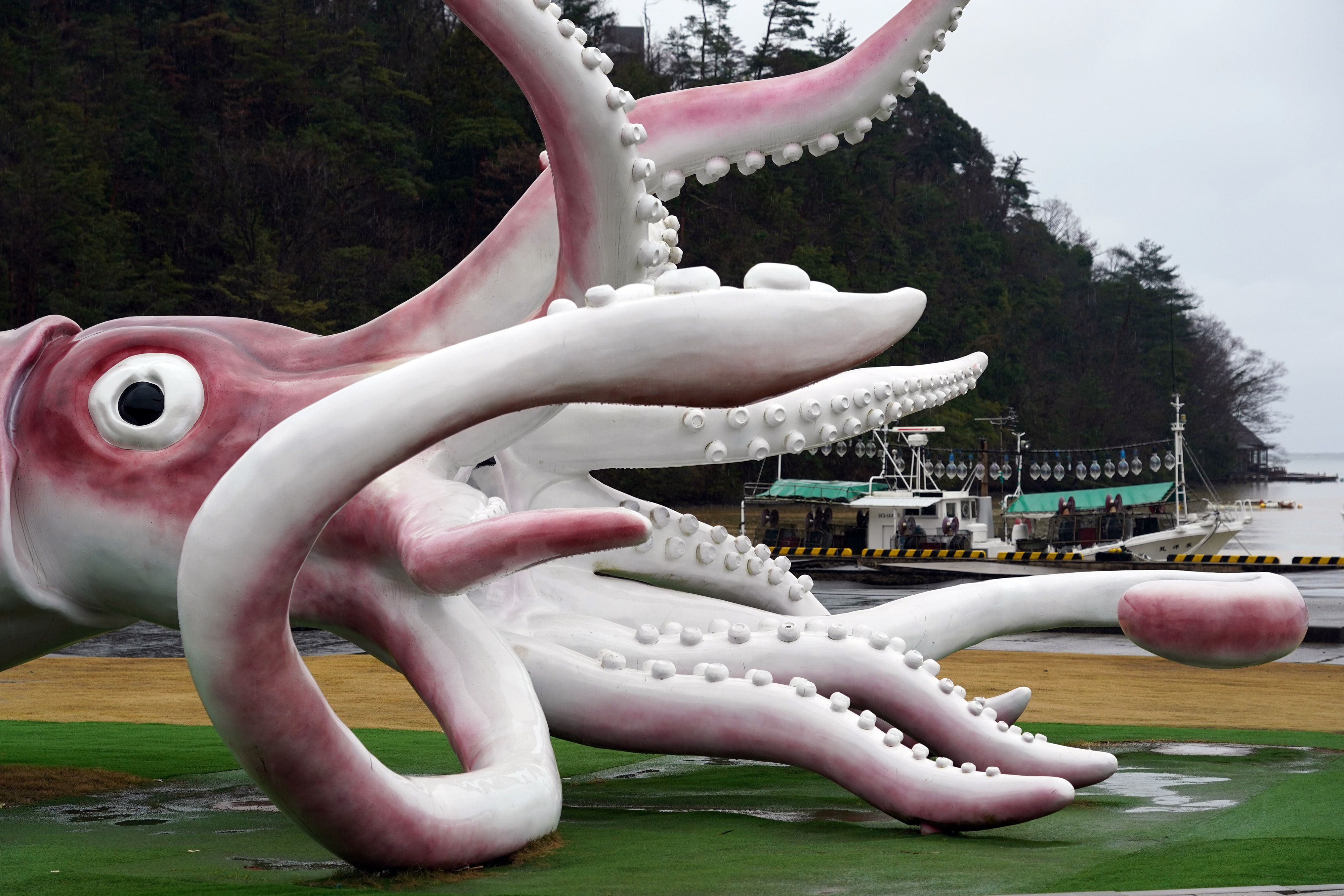 イカキング「見に来てね」 GWまでに施設営業再開目指す、能登町（写真