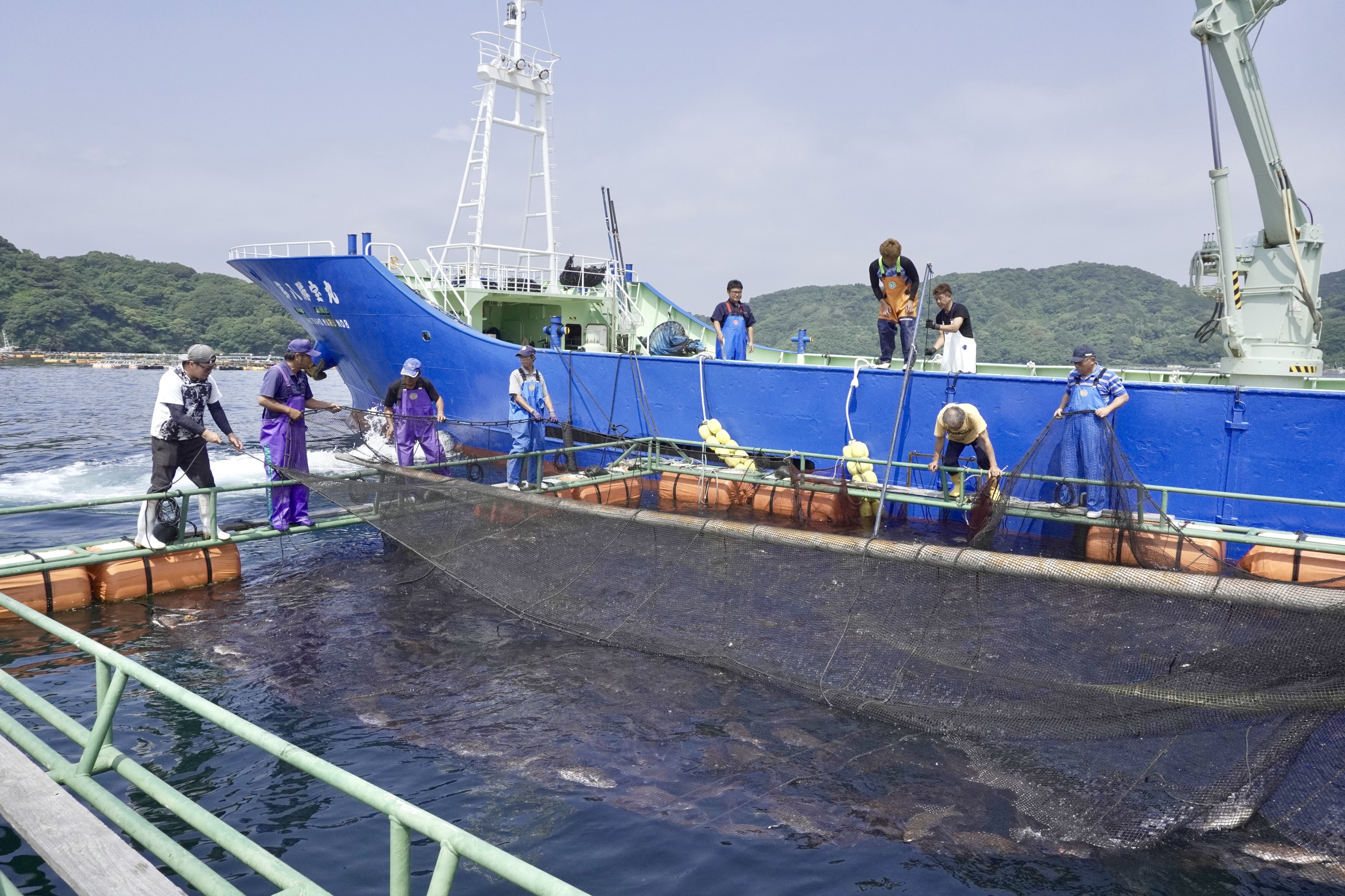 にしじま 地域超密着の観光振興で活性化 鹿児島県長島町の「獅子島」（ししじま