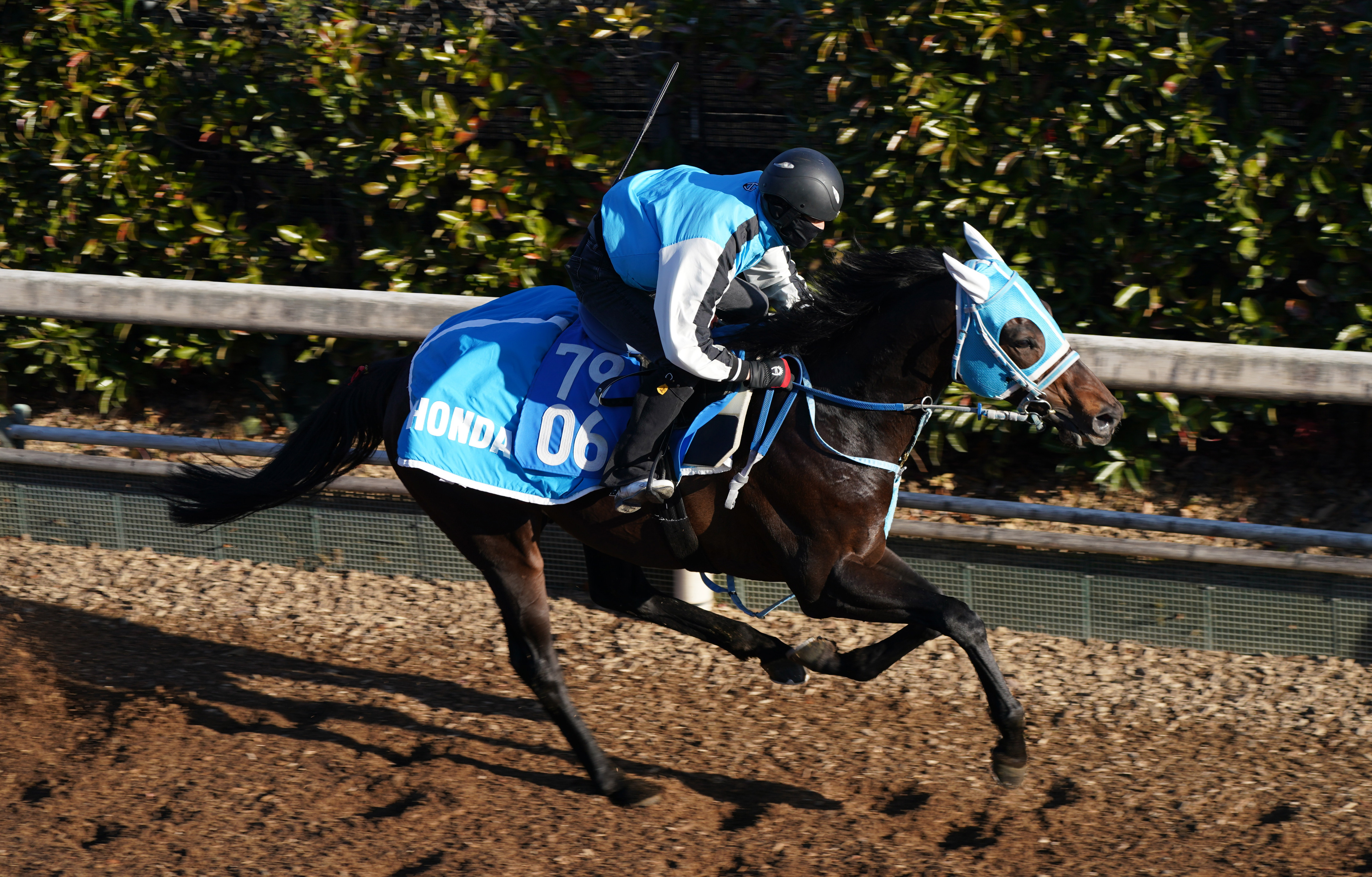 6文字目に隠された暗号…シンガリ人気でまさかの3着 井崎脩五郎の