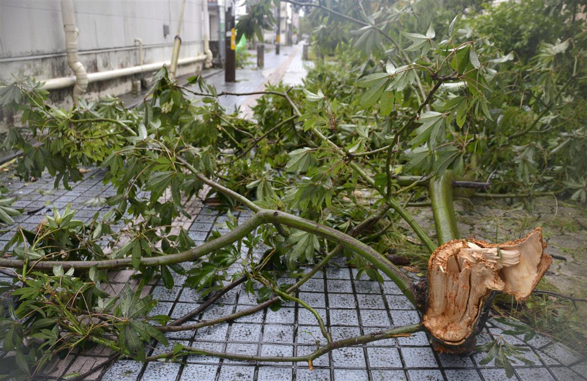 沖縄暴風 瞬間風速７０メートルに 台風９号 九州接近へ 産経ニュース