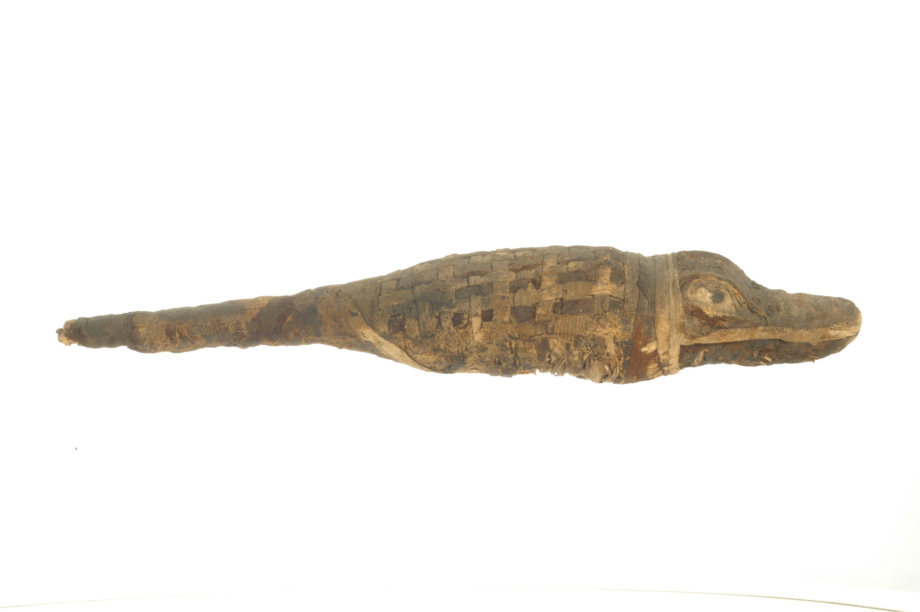 古代エジプト展名品紹介(4)】動物ミイラ 神のささげもの 古代エジプト展名品紹介(4)】動物ミイラ 神のささげもの