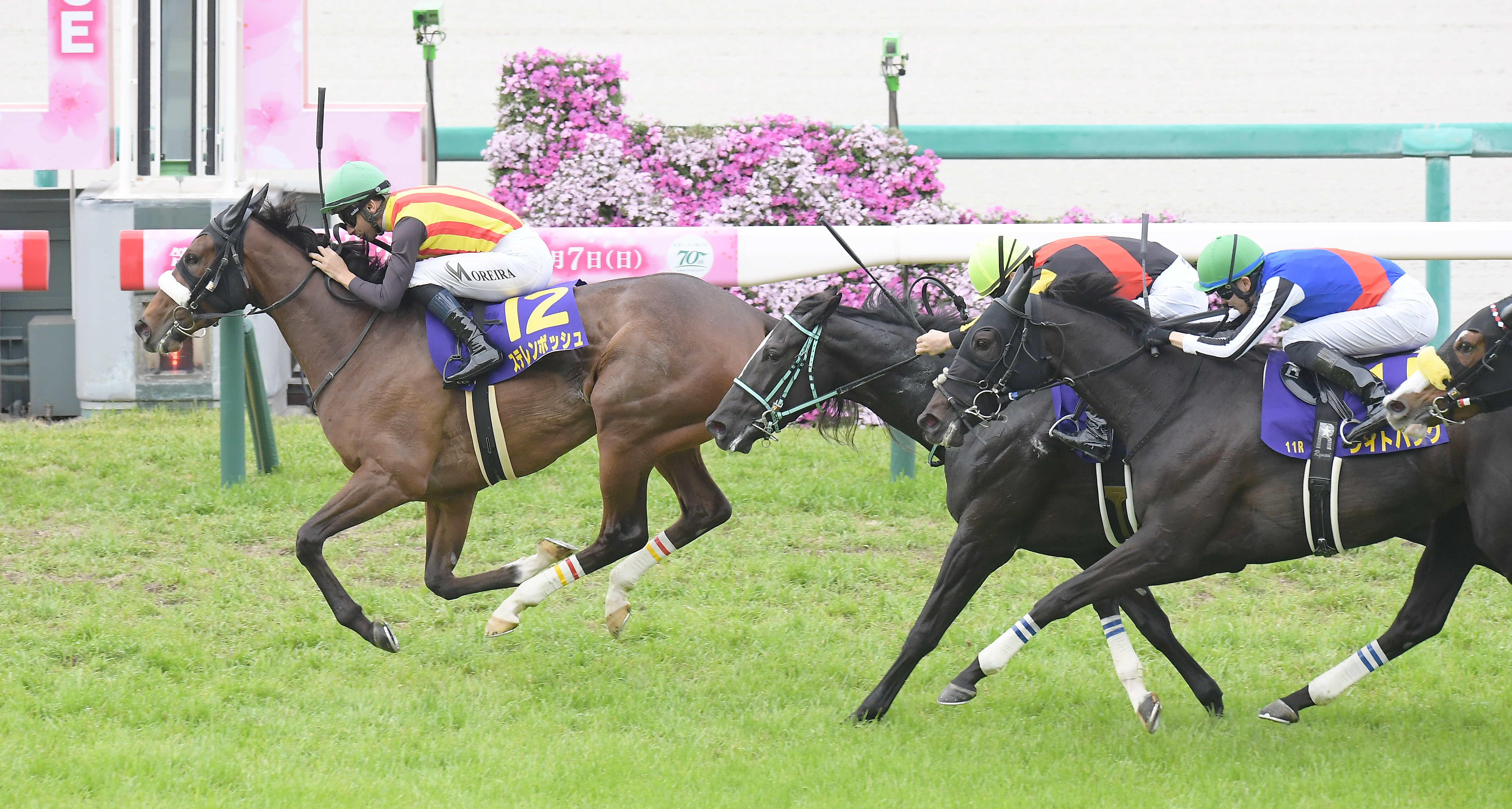 2番人気のステレンボッシュが優勝、2着はアスコリピチェーノ 競馬の