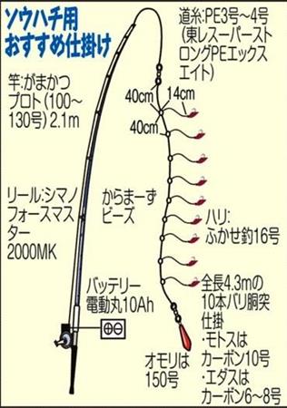 ソウハチ快釣 華麗に変身 お造り 煮つけ何でもござれ 関西フィッシング 1 3ページ サンスポ