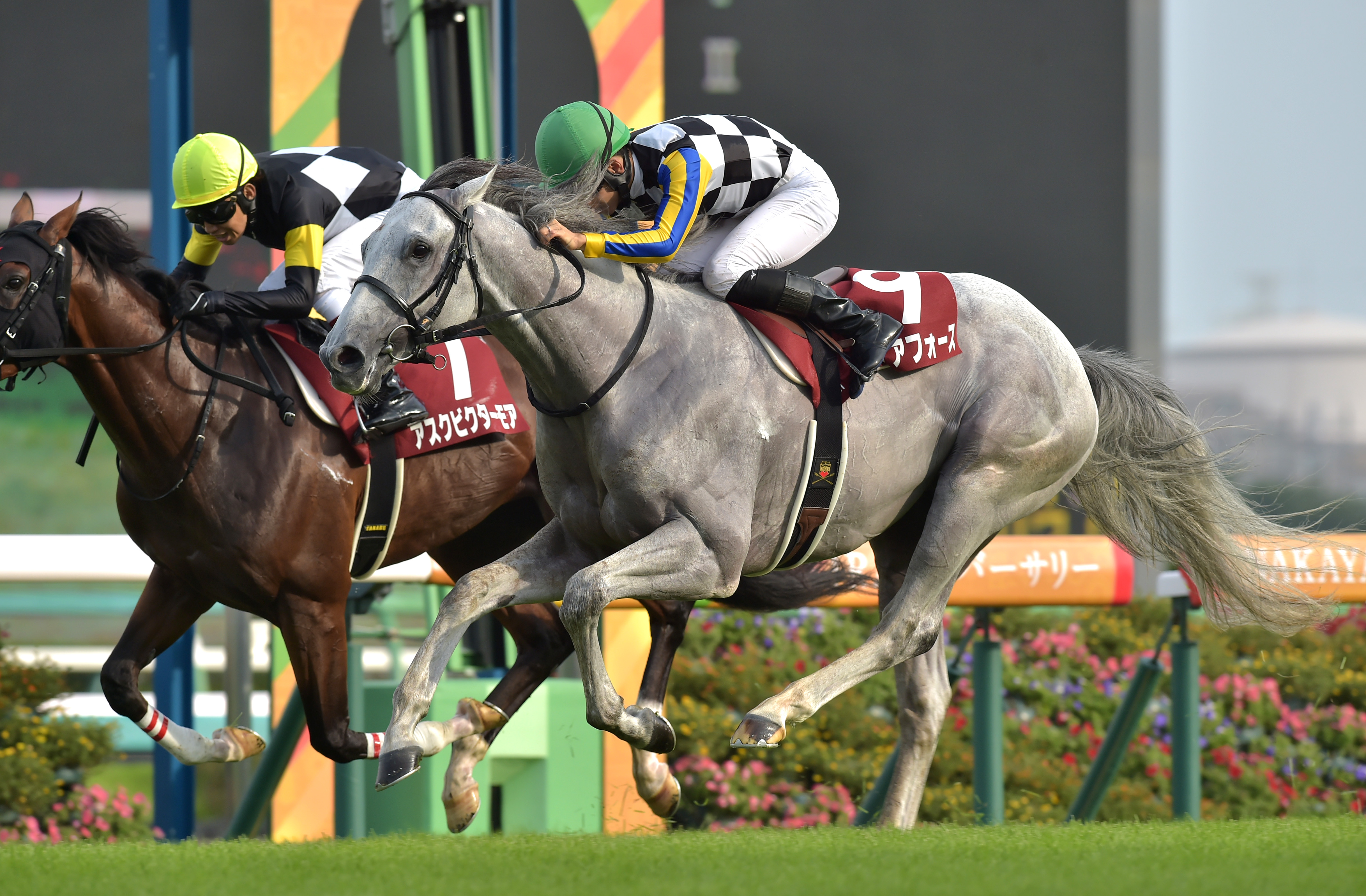 セントライト記念】ガイアフォースが激しい競り合い制す！父キタサン