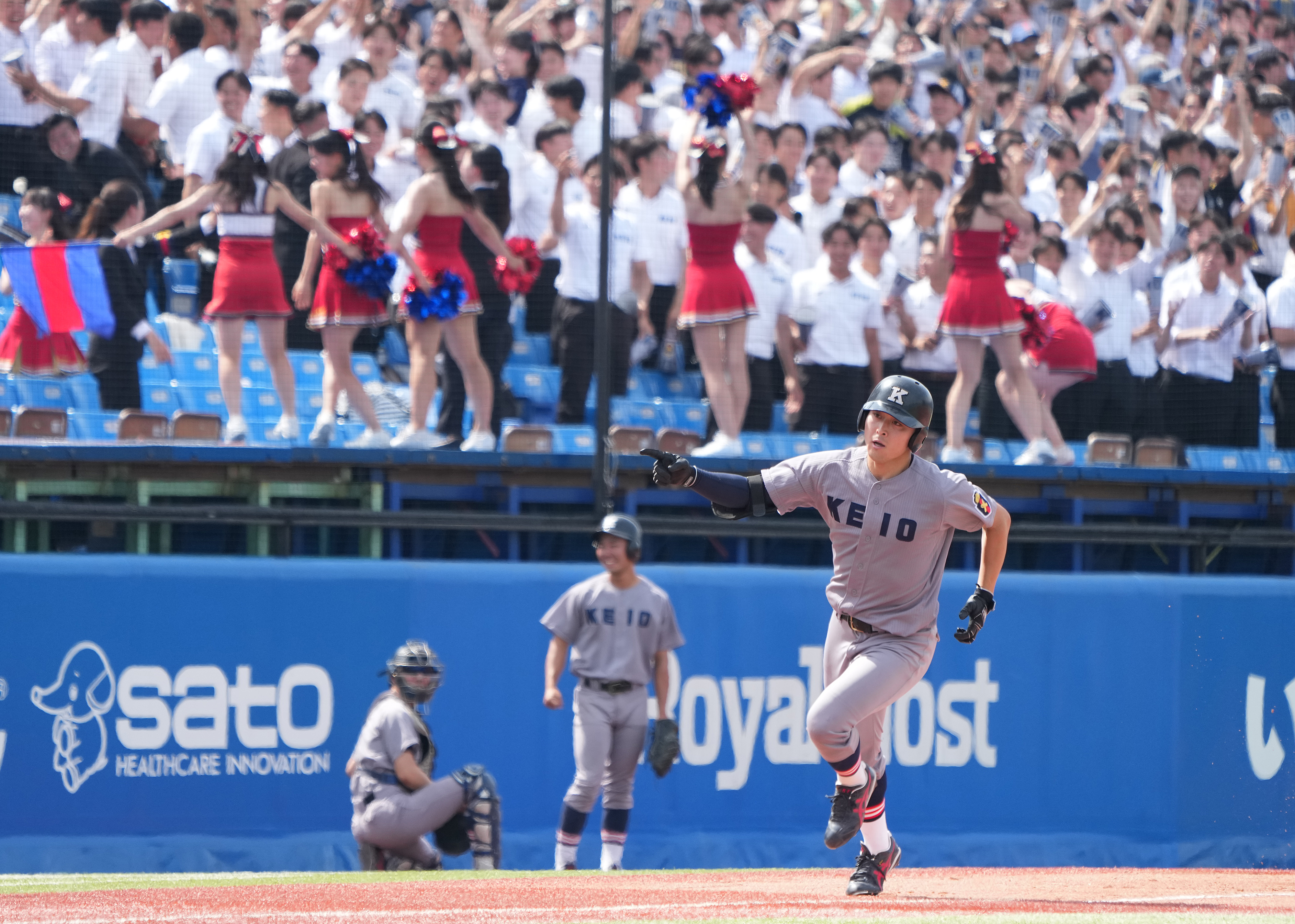 早慶 戦 結果 速報