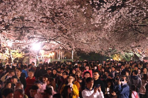 サクラ５分咲き 外国人客は満開 上野公園 ４月下旬の陽気に イザ