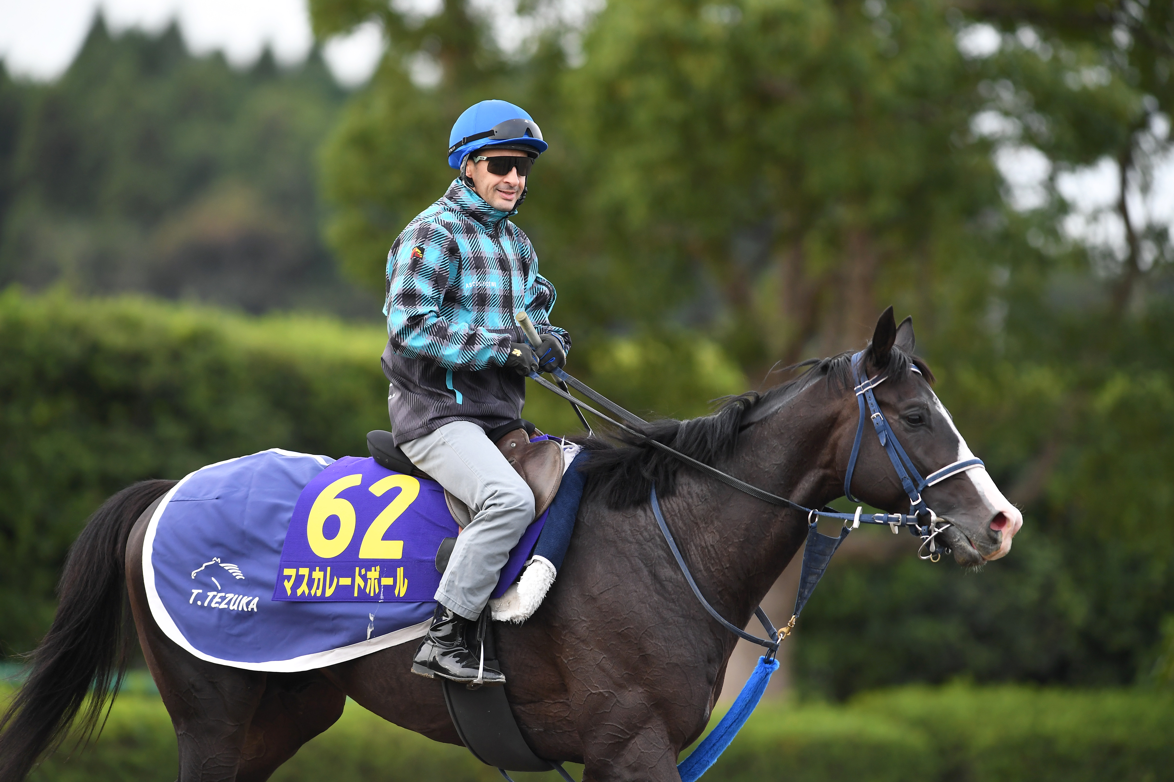 競馬の天皇賞・秋オッズ 人気はマスカレードボール - 産経ニュース