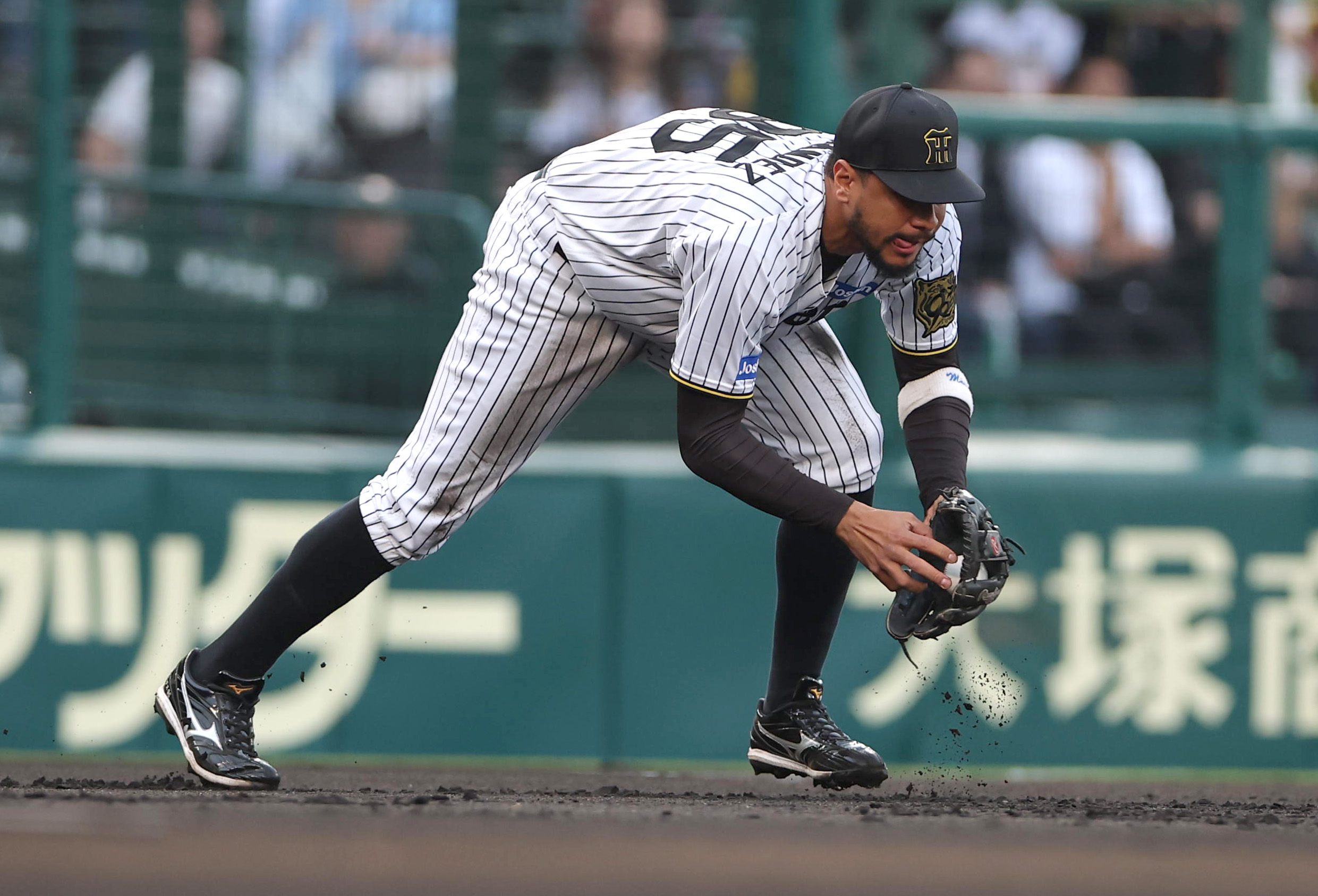 阪神・ヘルナンデス、ノーヒットも守備で貢献！「これだけ汚れたという