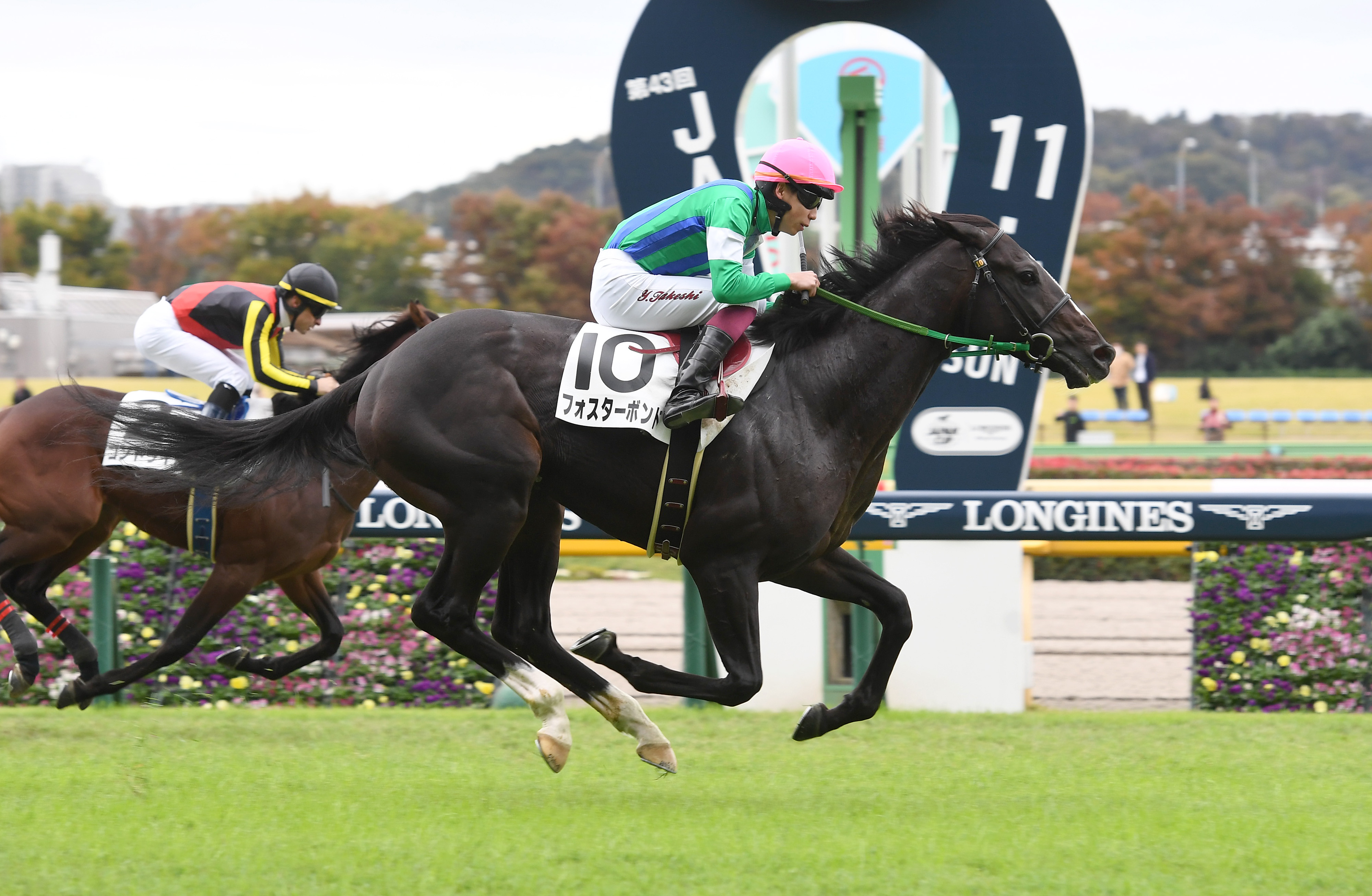 【ＰＯＧ調査隊】未勝利戦の末脚光るフォスターボンド ２月１１日 