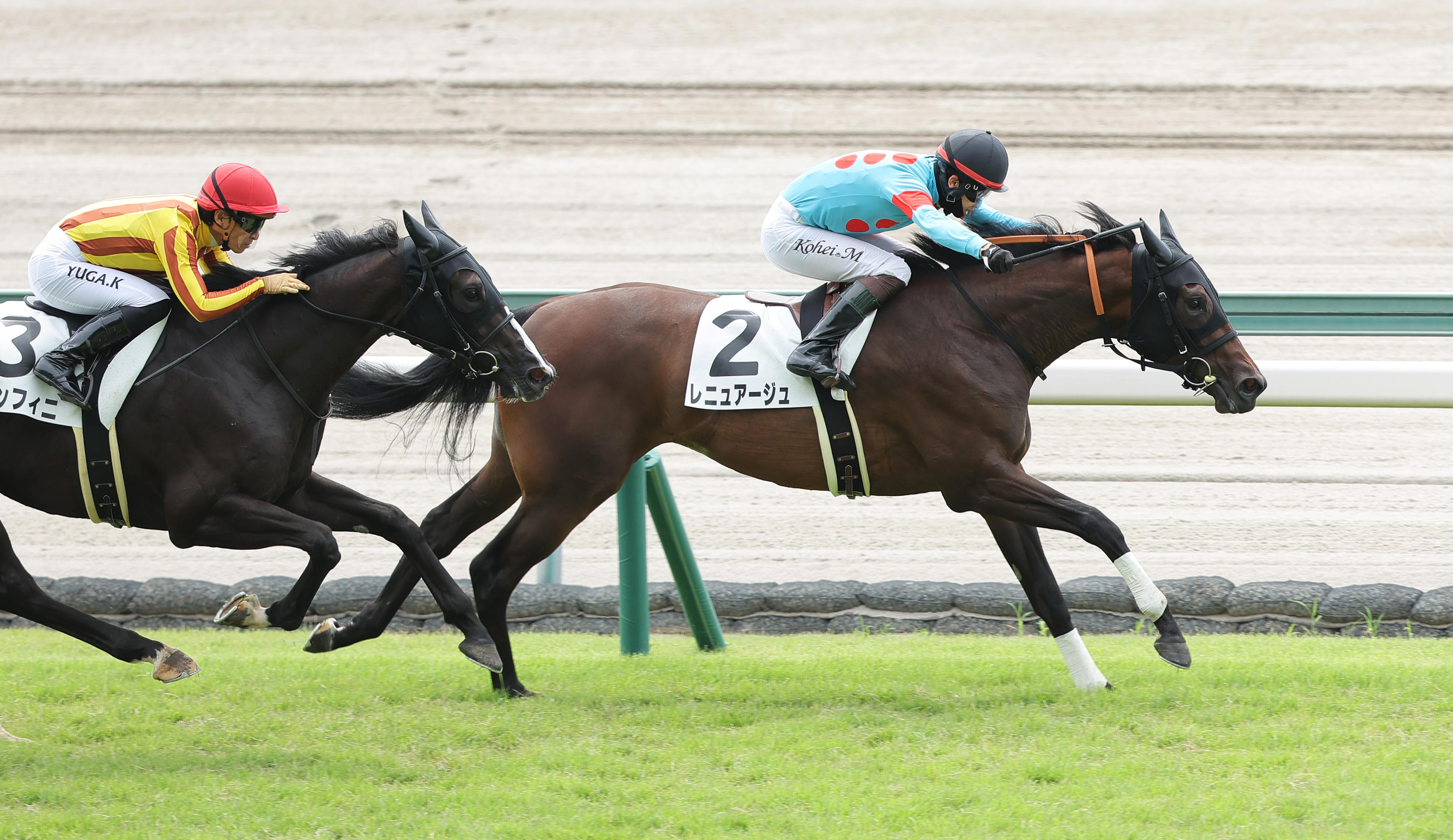 2歳新馬・中京2R】コントレイル産駒レニュアージュが逃げ切り！ 松山