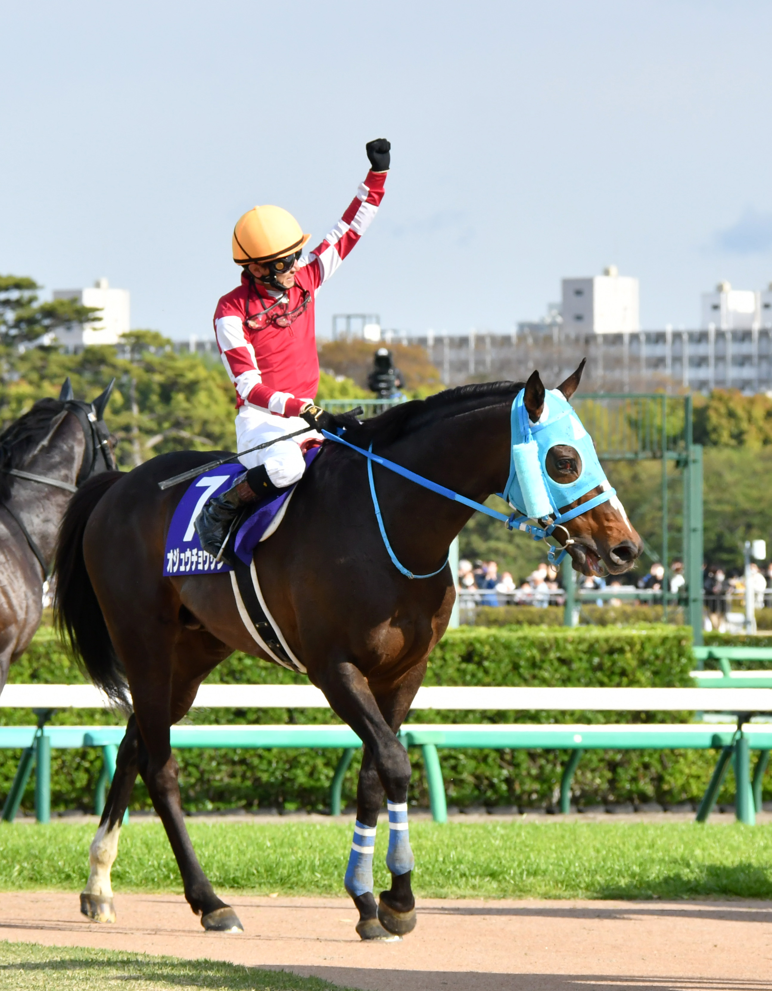 2021年最新海外オジュウチョウサン 夢とロマンは果てしなく／長山尚義