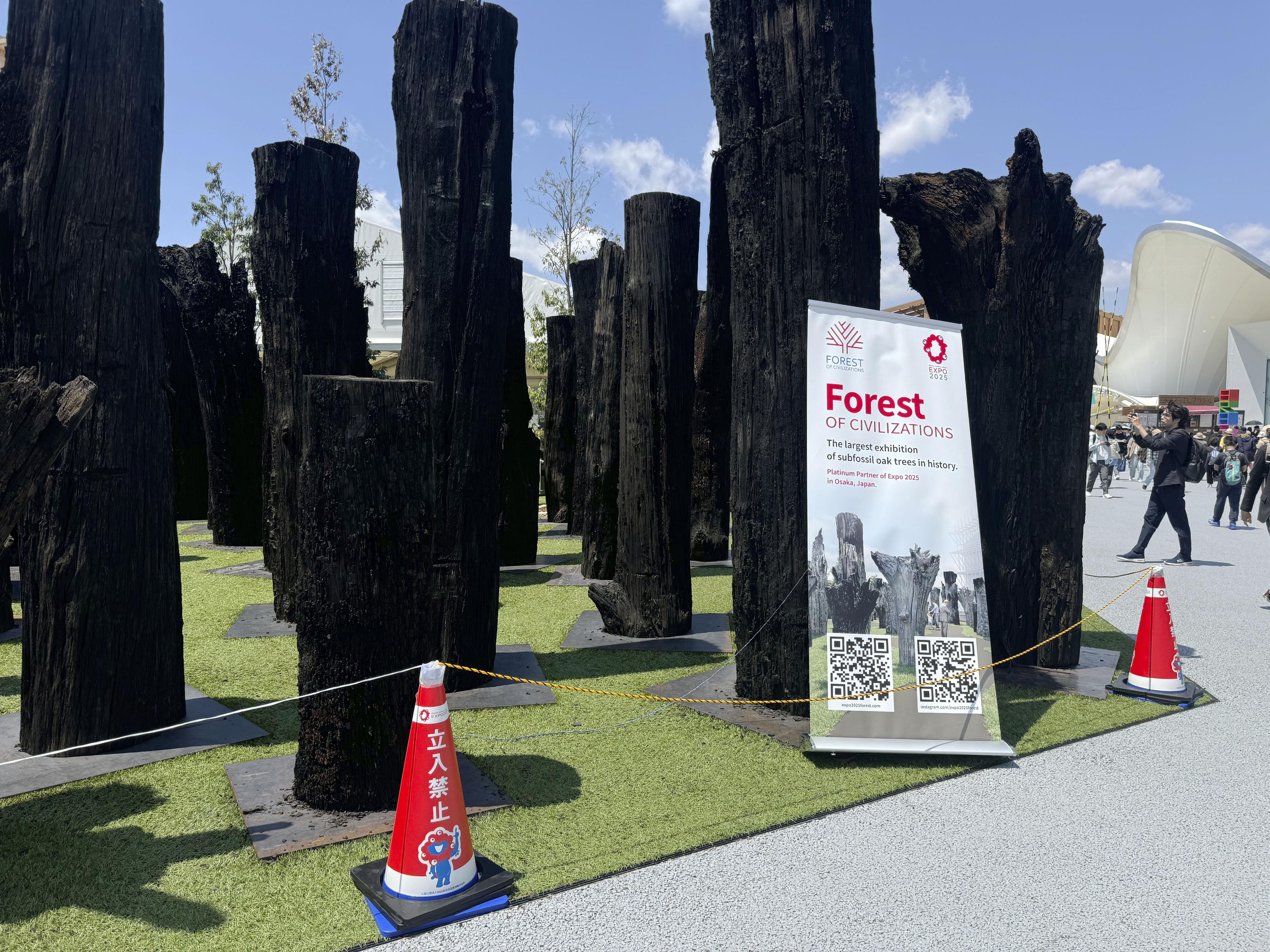 大阪・関西万博、「文明の森」に立ち入り規制 SNSで倒木の危険性指摘