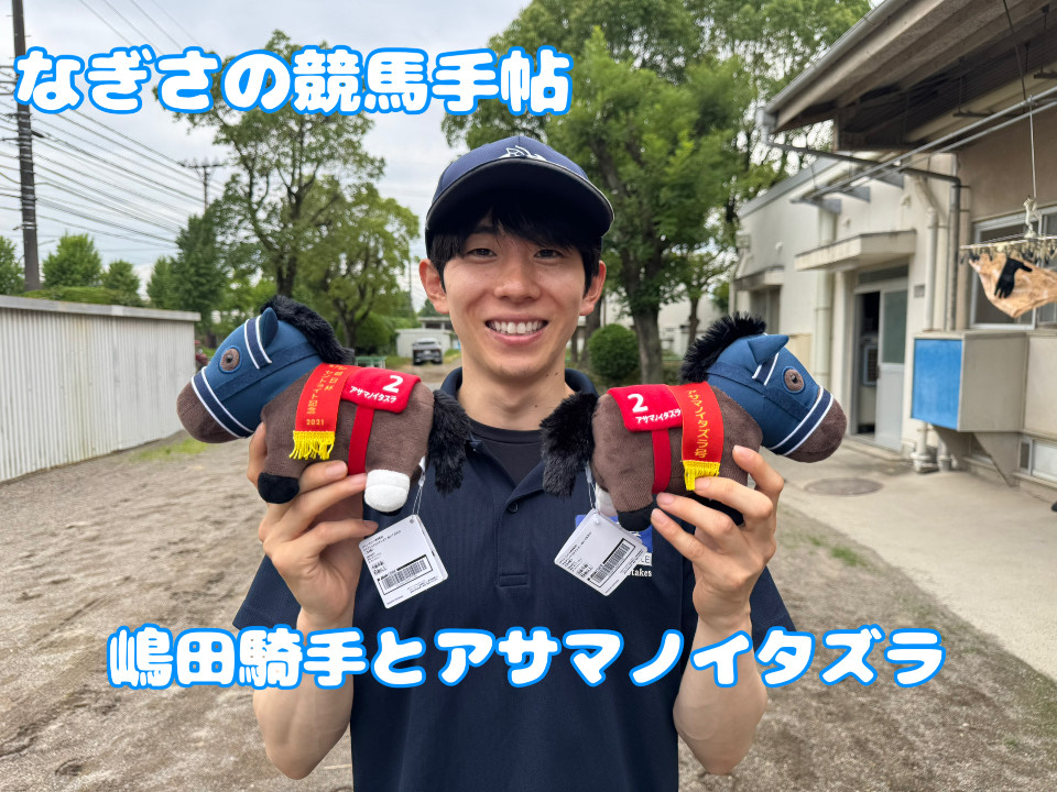 超レア【射沓＋騎射かけ＋騎射笠のセット】スポーツ流鏑馬をやっている方にオススメ！ ③｢スポーツ流鏑馬｣ 紅葉台木曽馬牧場 綺射笠 鏑矢 流鏑馬