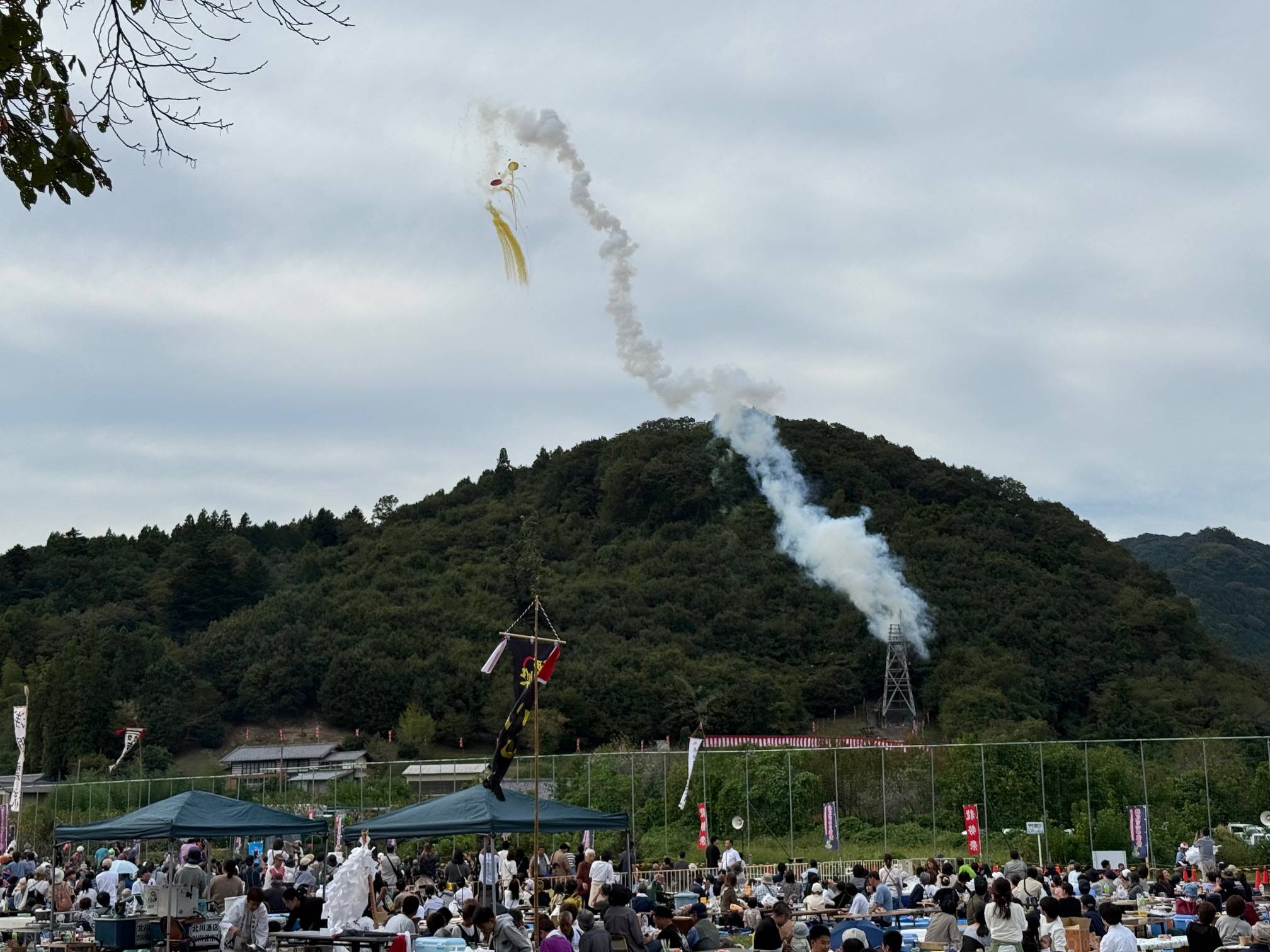 30本の「龍勢」登場、秩父・椋神社で例大祭 国重要無形民俗文化財の