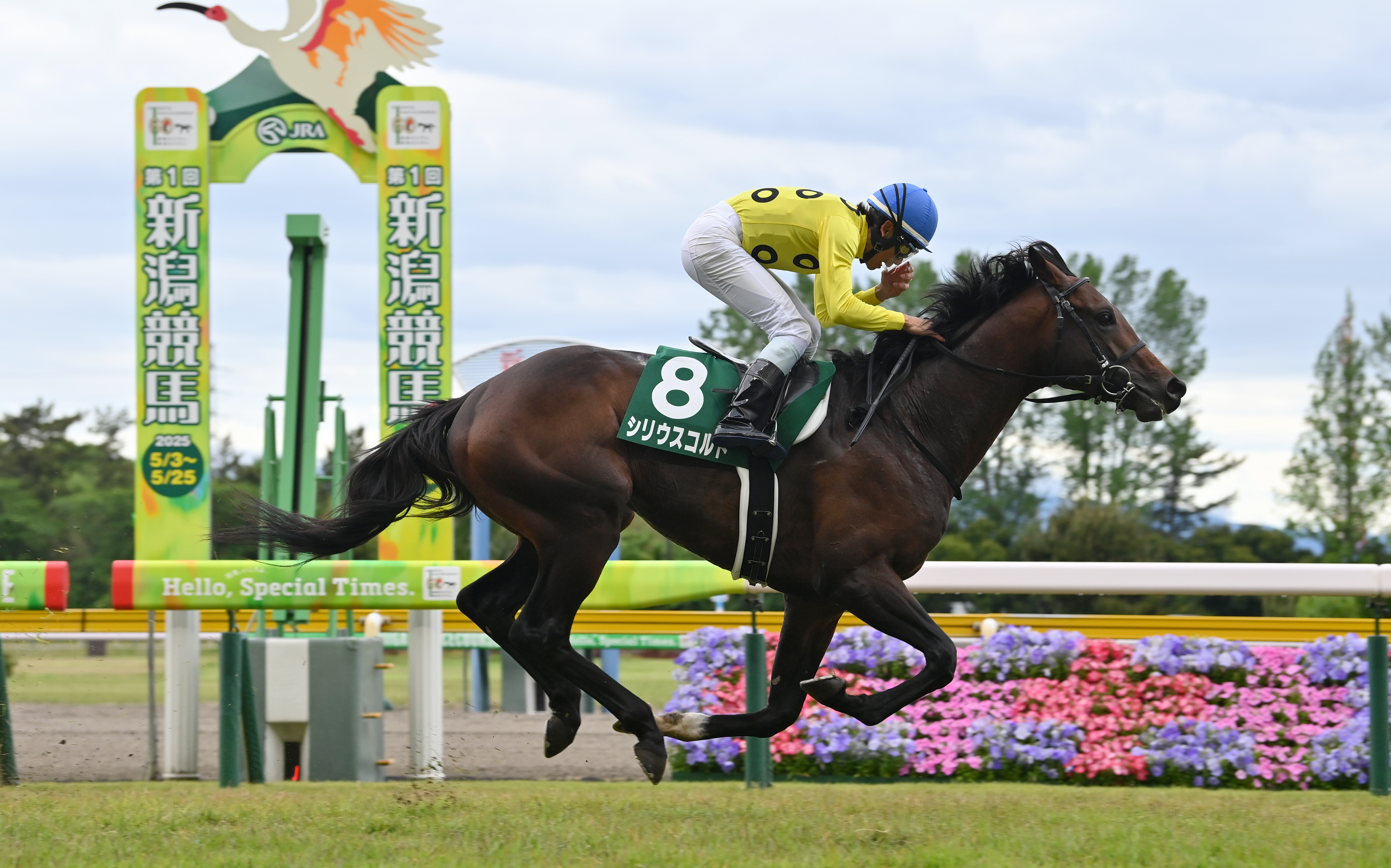 新潟大賞典】シリウスコルトが鮮やかに逃げ切り連勝！田中勝春調教師は