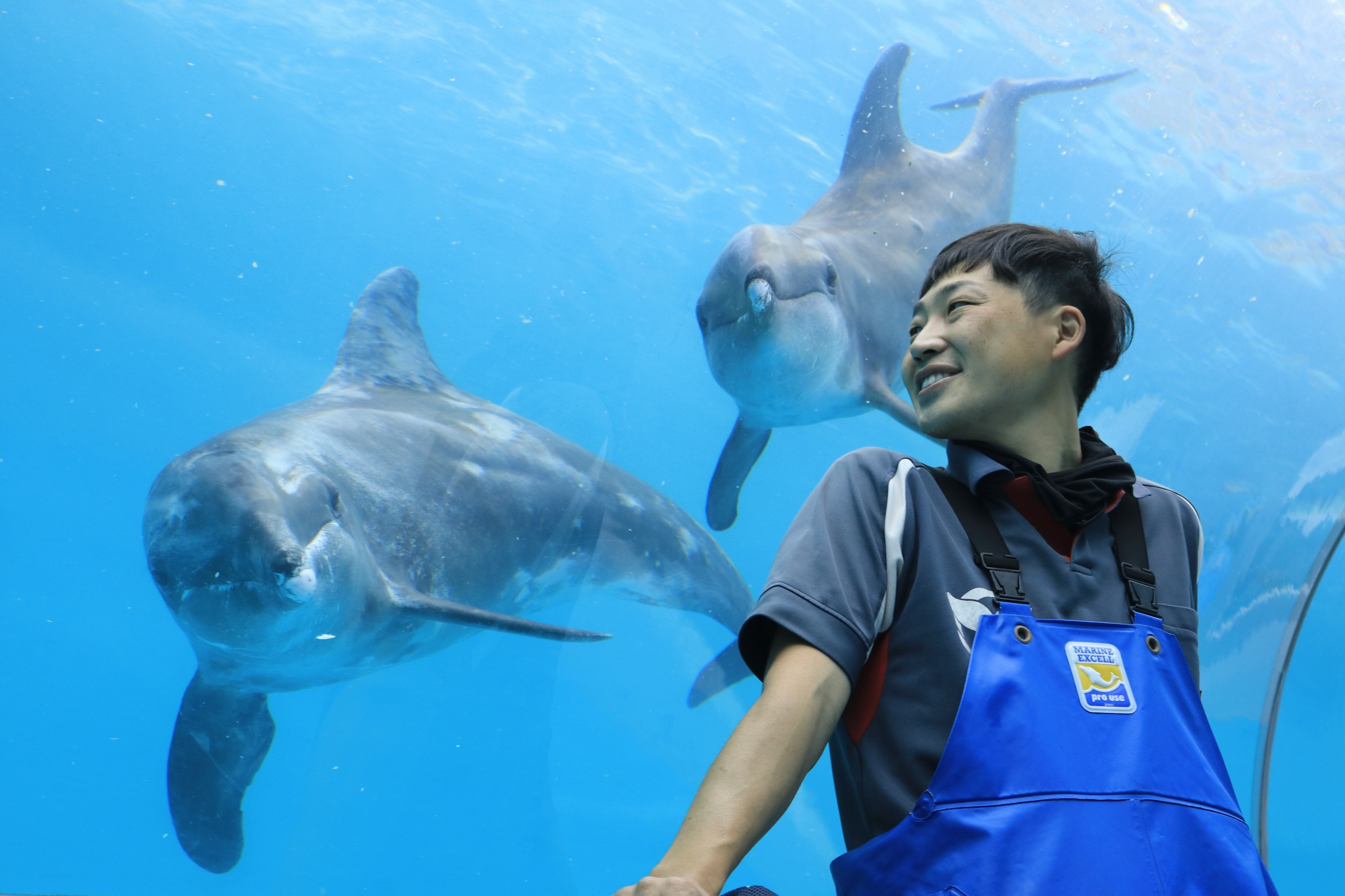 くじら日記】新館長の思い「五感でクジラ知って」 - 産経ニュース