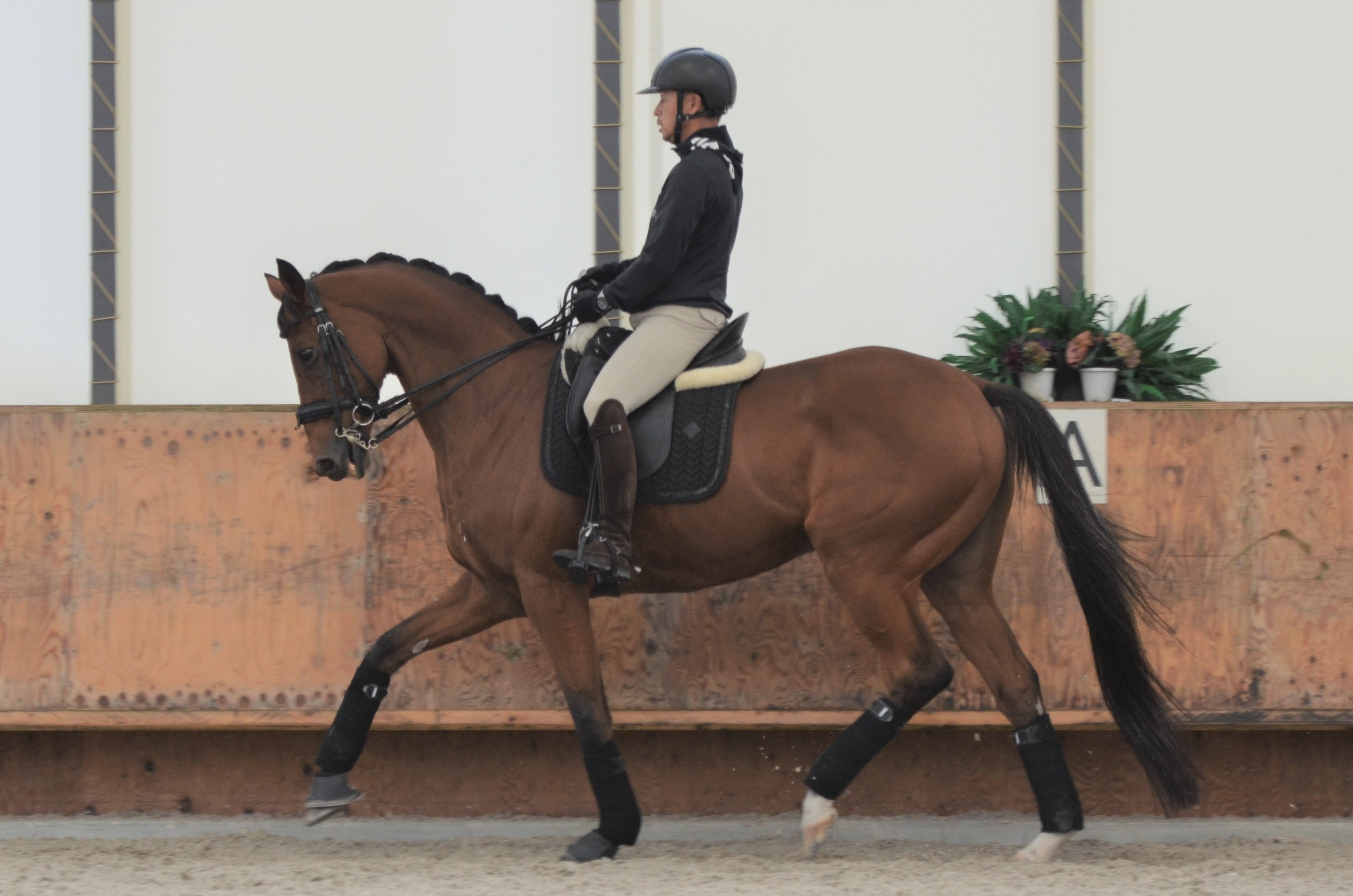 競走馬騎乗のトレーニングマシン - トレーニング用品