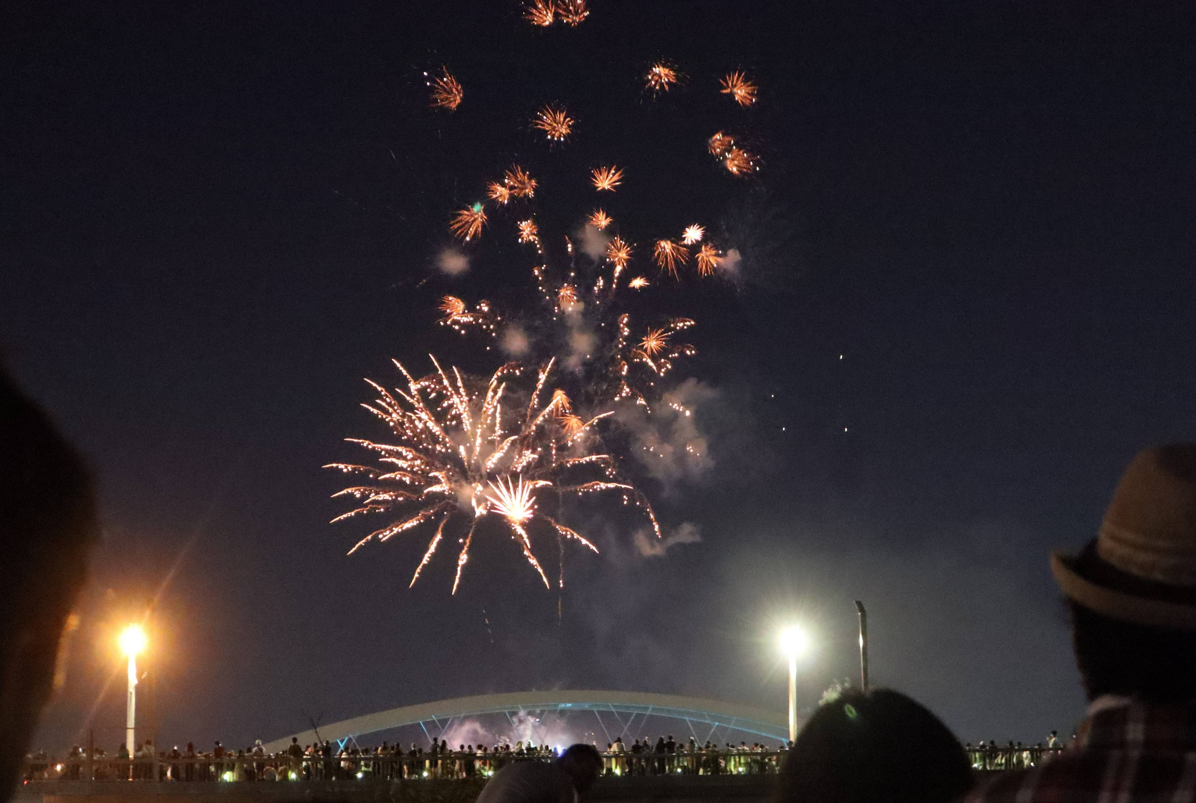 夏を彩る匠の技】夜空に花火 笑顔と歓声再び ファイアート神奈川 和田