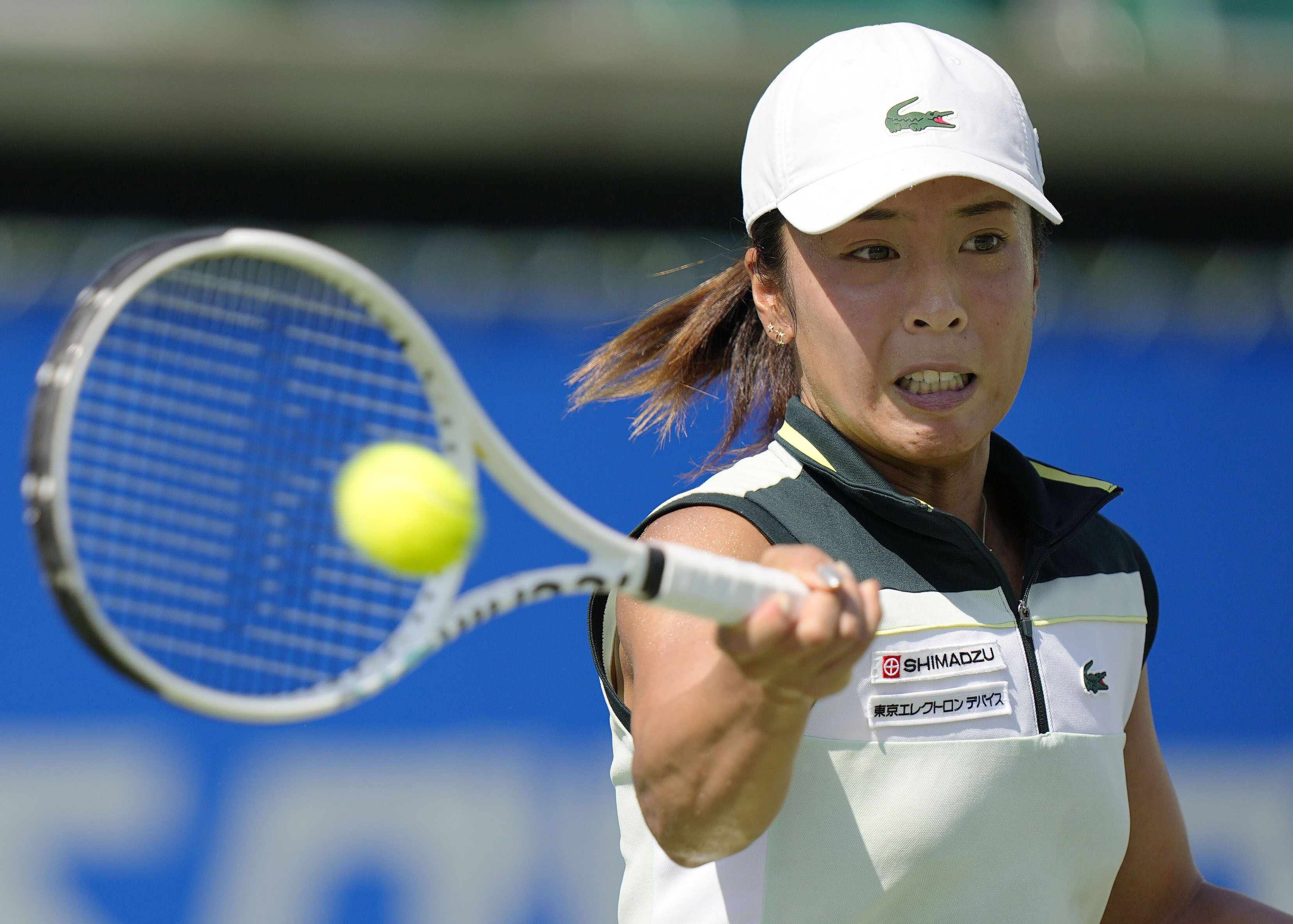 木下 ジャパンオープンテニス 準決勝 大人１ - テニス